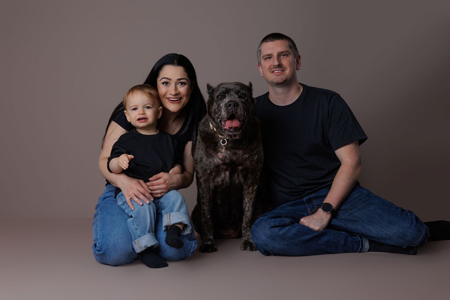 Family with baby, large gray dog, sitting together in a studio portrait.
