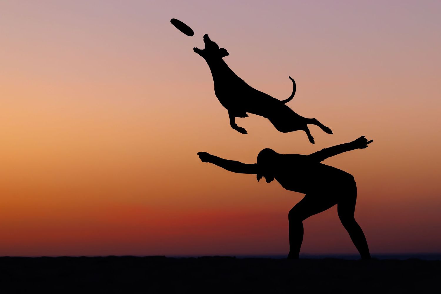 Silhouette of person throwing frisbee as dog leaps high into sunset sky.