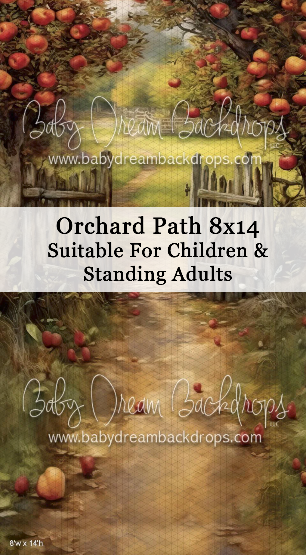 Orchard Path 8x14 photography backdrop featuring apple trees and a rustic path, suitable for children and standing adults.