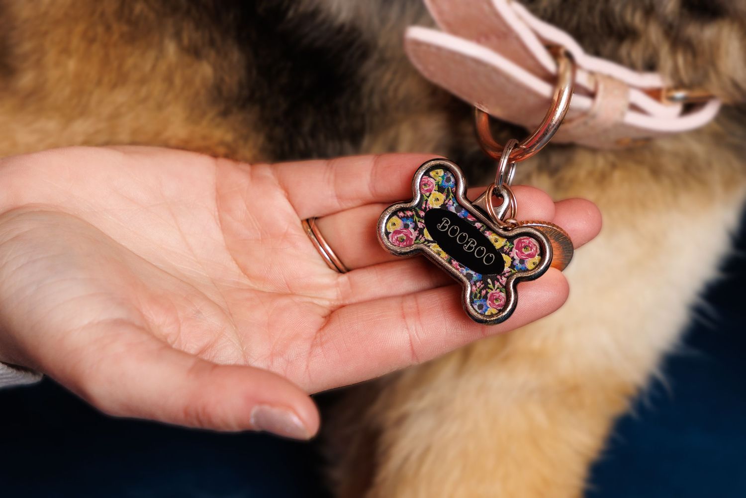 A hand holding a colorful bone-shaped dog ID tag attached to a pink collar on a fluffy dog.