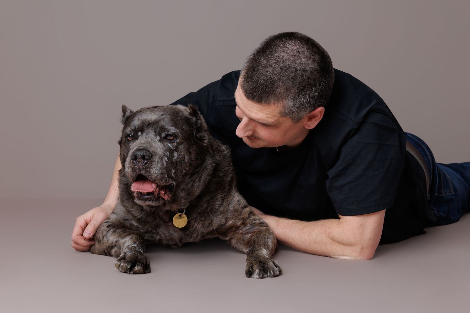 A man in a black shirt lies on the floor hugging a large brindle Cane Corso dog in a studio.
