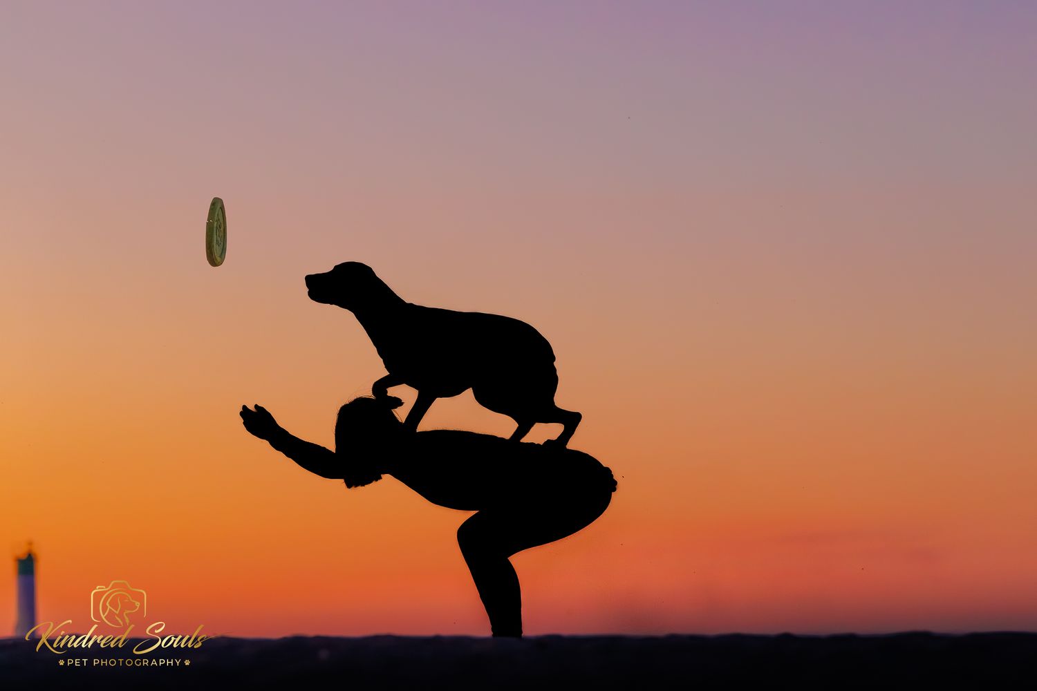 Silhouette of a person balancing a dog on their back reaching for a frisbee at sunset.