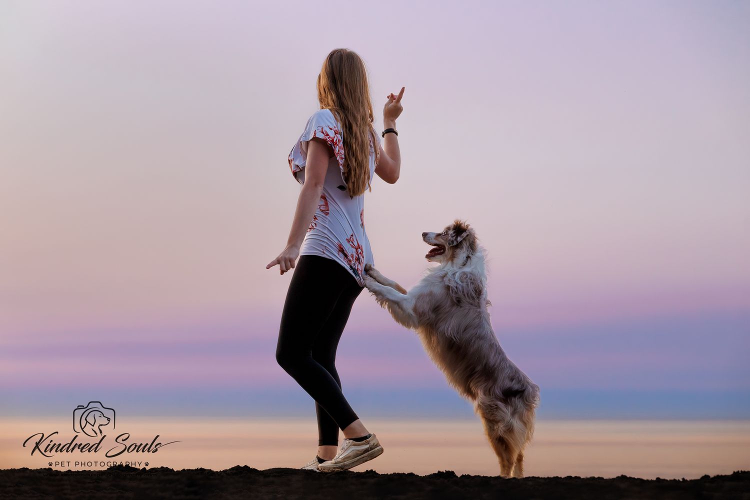 Woman training Australian Shepherd dog at sunset on beach, dog standing on hind legs during obedience session.