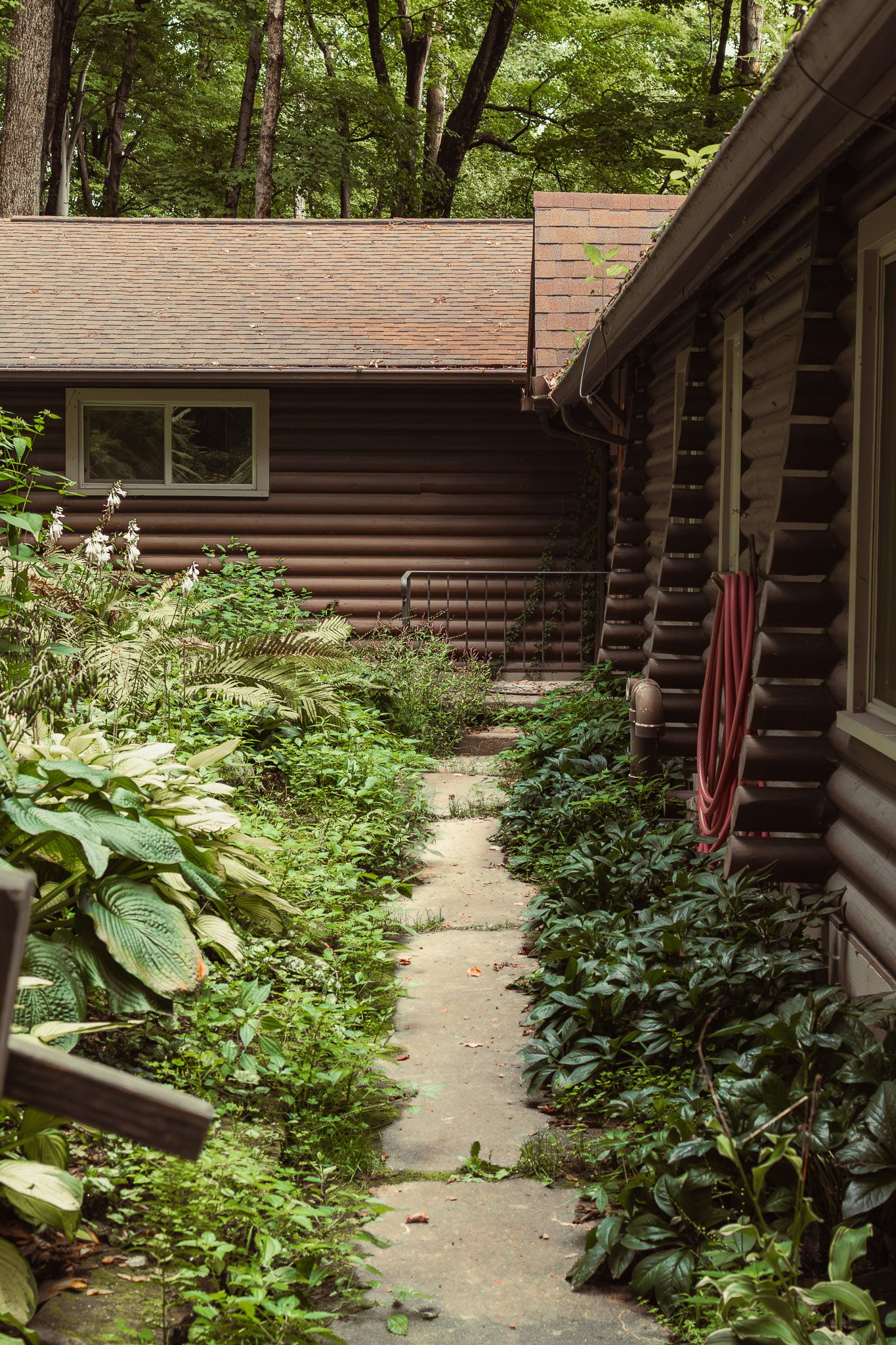 Rustic log cabin with stone pathway surrounded by lush green garden plants and forest trees.