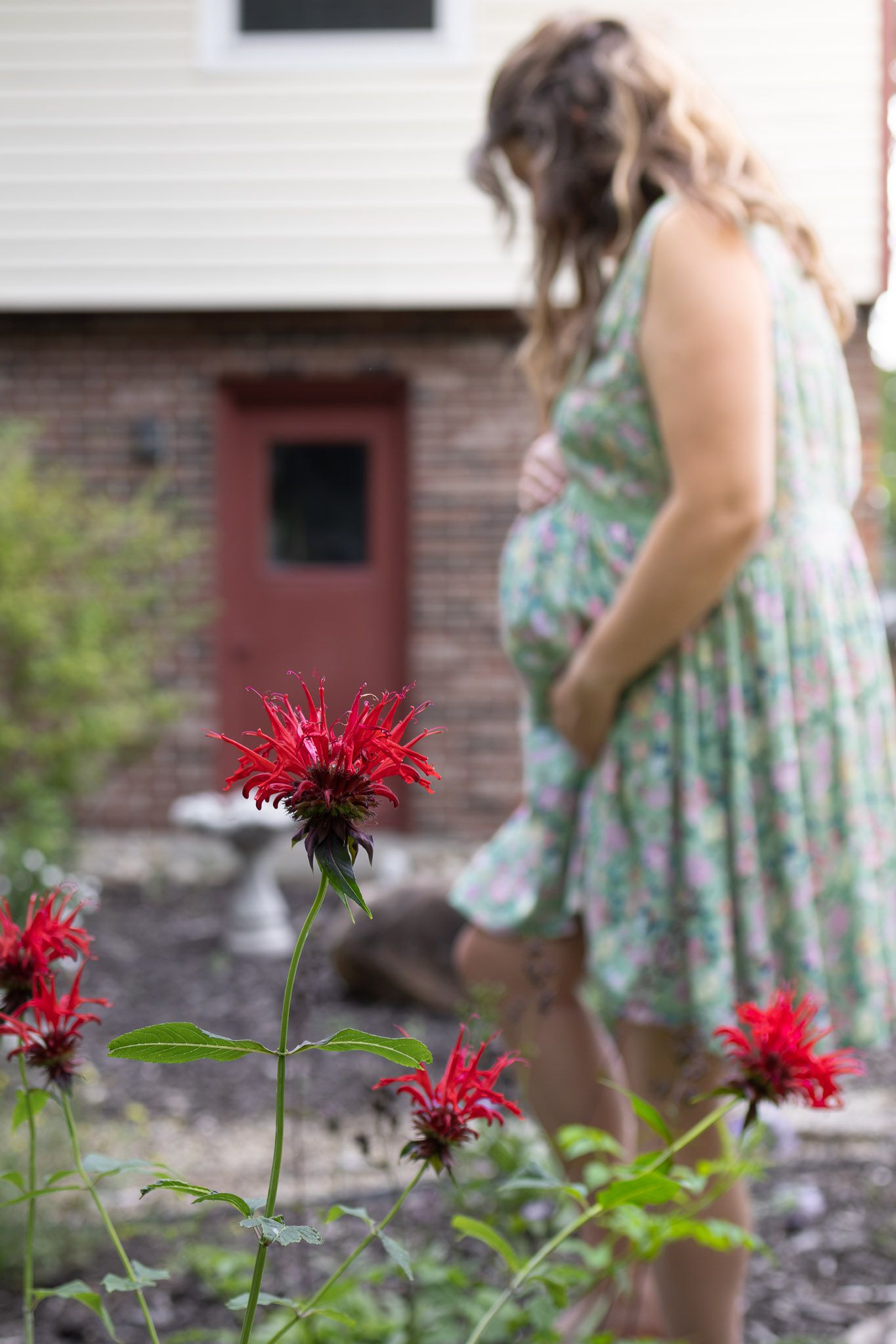 Pregnant woman in floral dress standing in garden with red bee balm flowers.