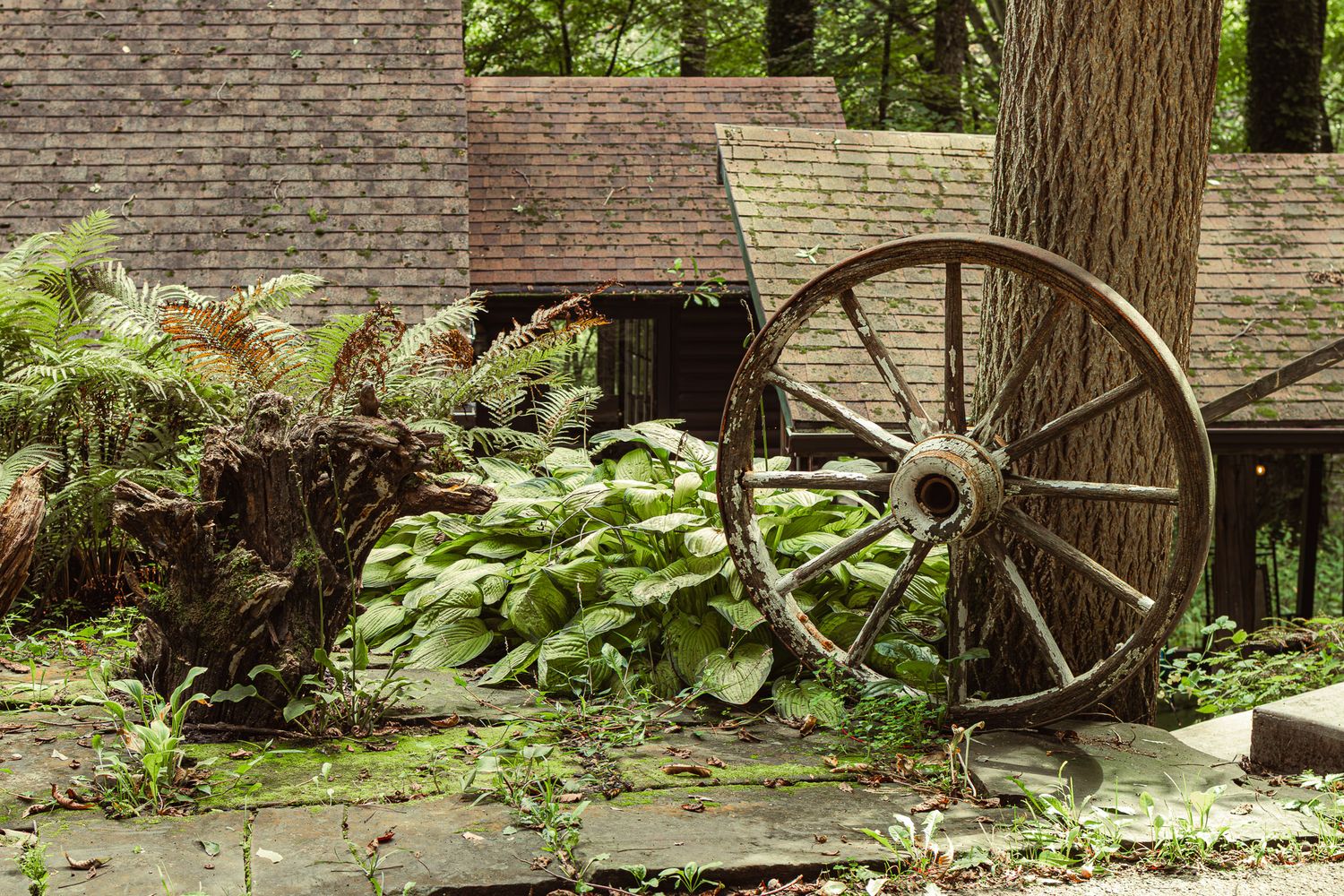 Rustic wooden wagon wheel leaning against a tree surrounded by lush ferns and hostas beside a stone building.