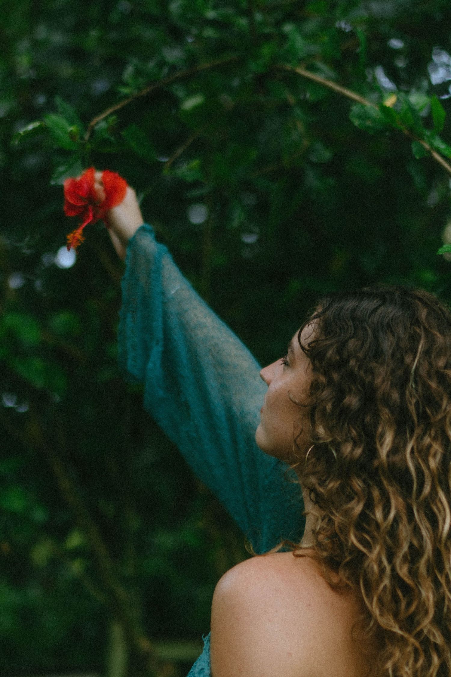 Woman with curly hair reaching up to touch red hibiscus flower on branch.