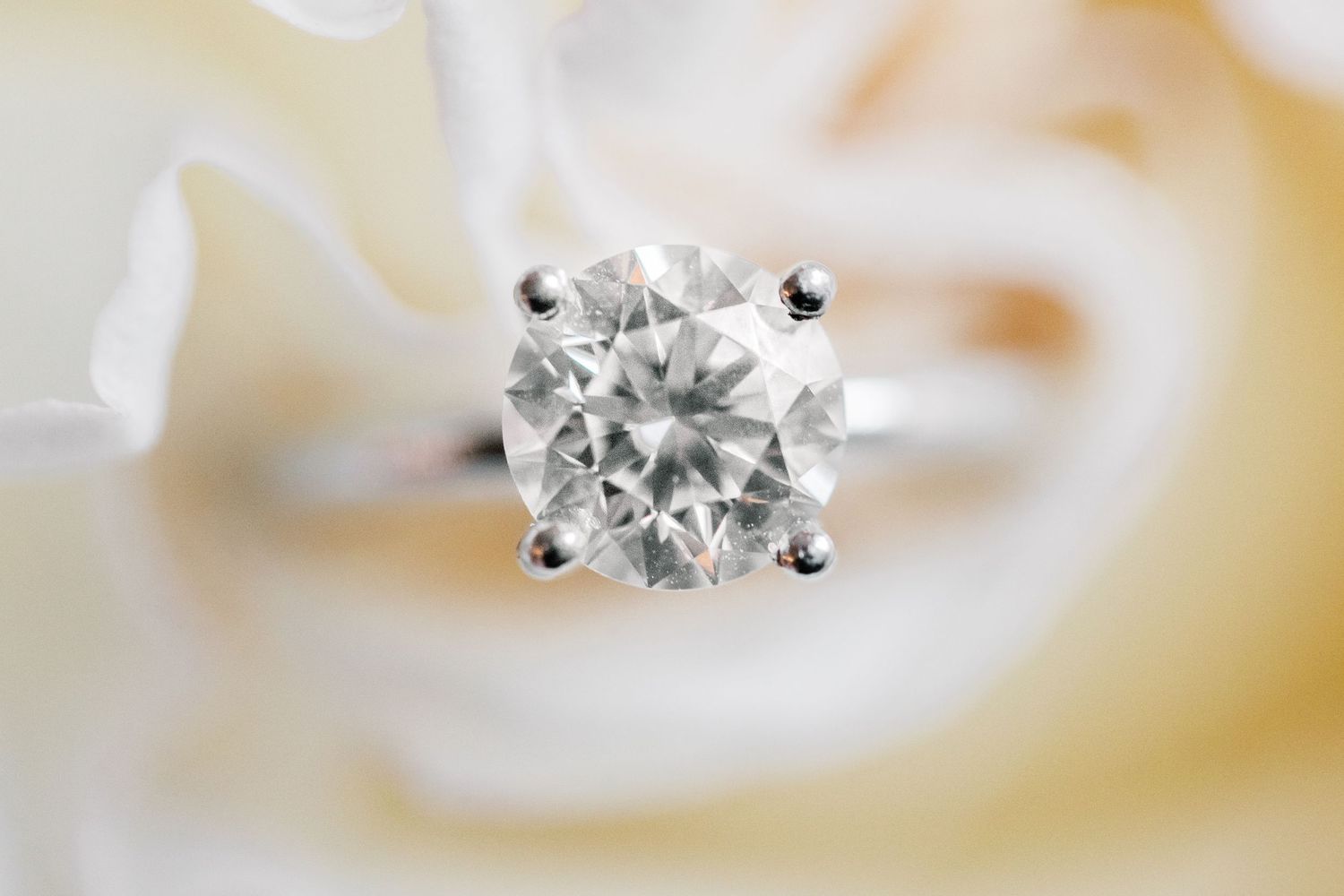 Close-up of a round brilliant-cut diamond solitaire ring in a four-prong platinum setting resting on soft cream flower petals.