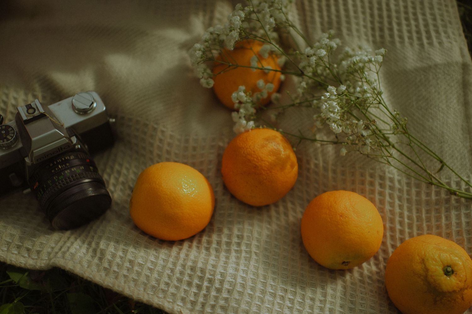Five fresh oranges arranged on a burlap cloth beside a vintage film camera and delicate white baby's breath flowers.