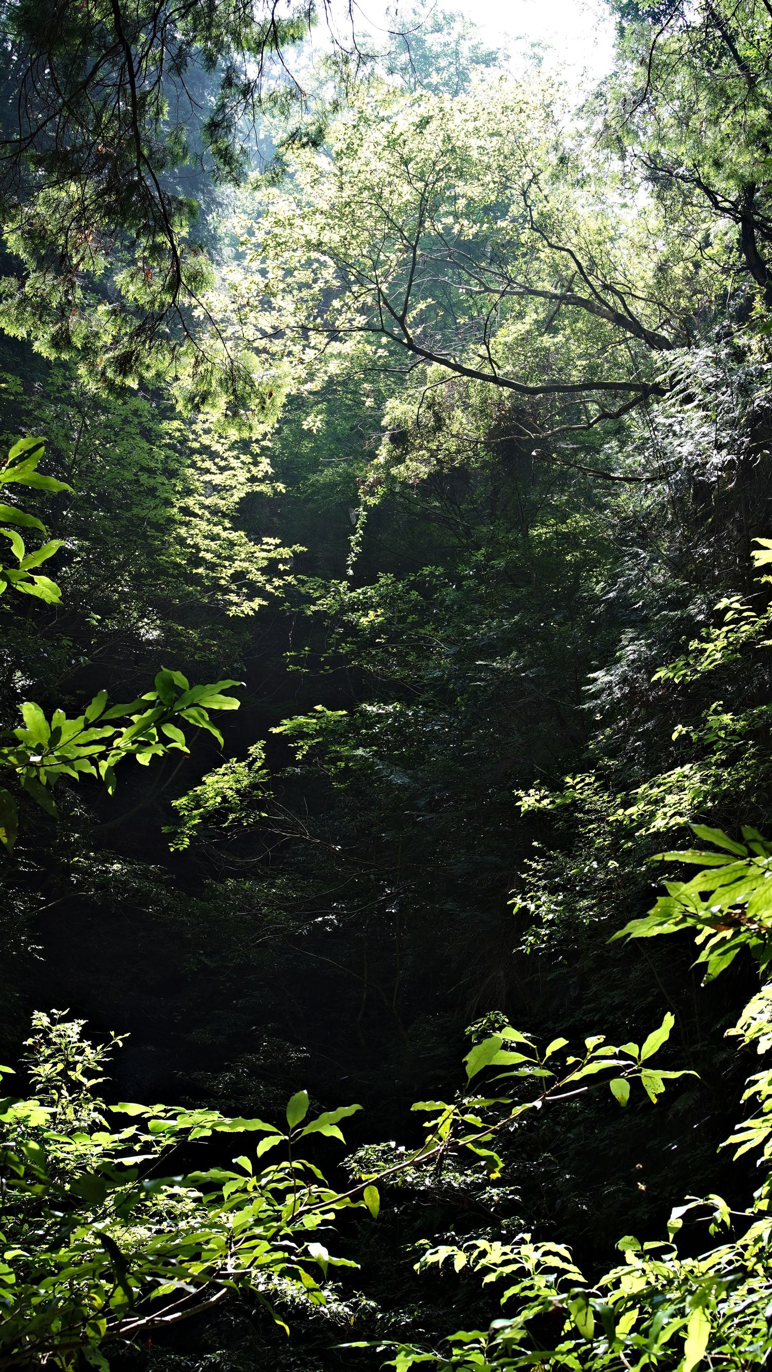 Japan - July 2025
