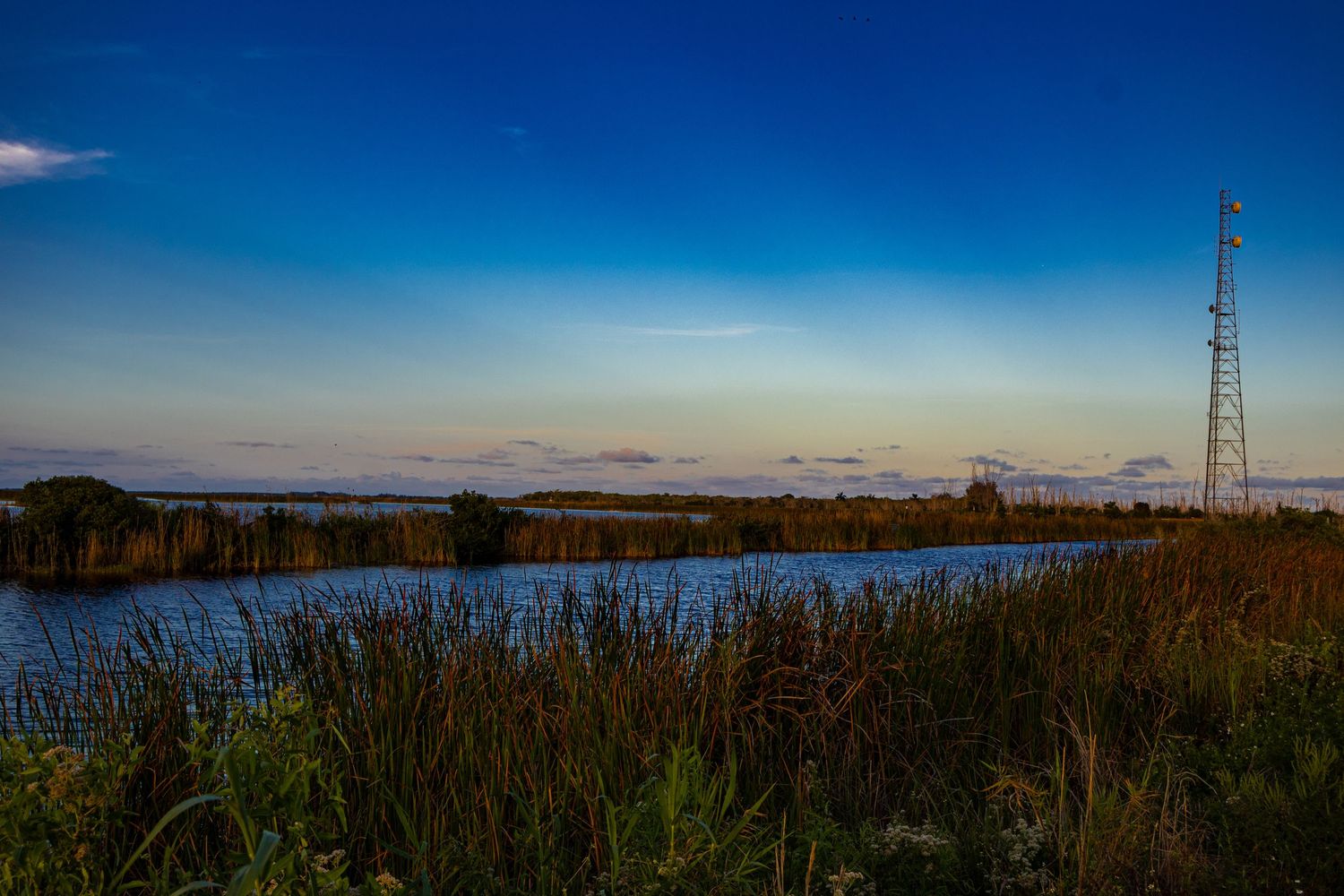 Scenic waterway at dusk with tall marsh grasses, utility tower, and vibrant blue evening sky.