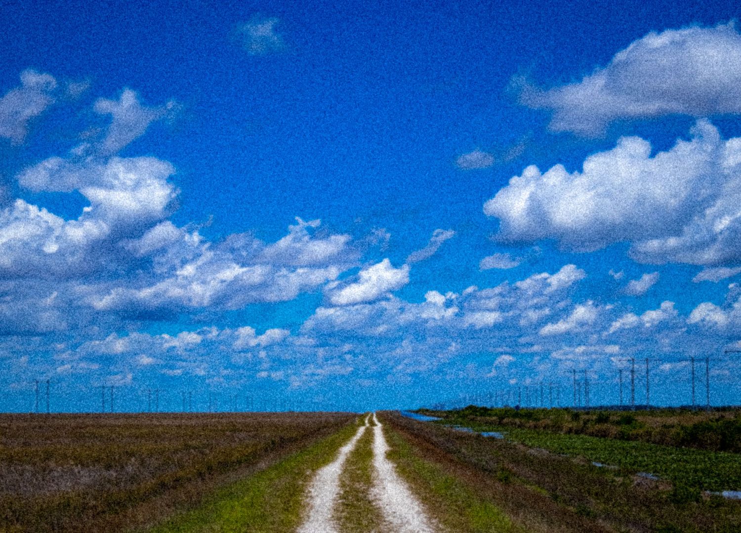 Straight dirt road stretching to the horizon through flat Florida farmland with wind turbines under a vivid blue sky.