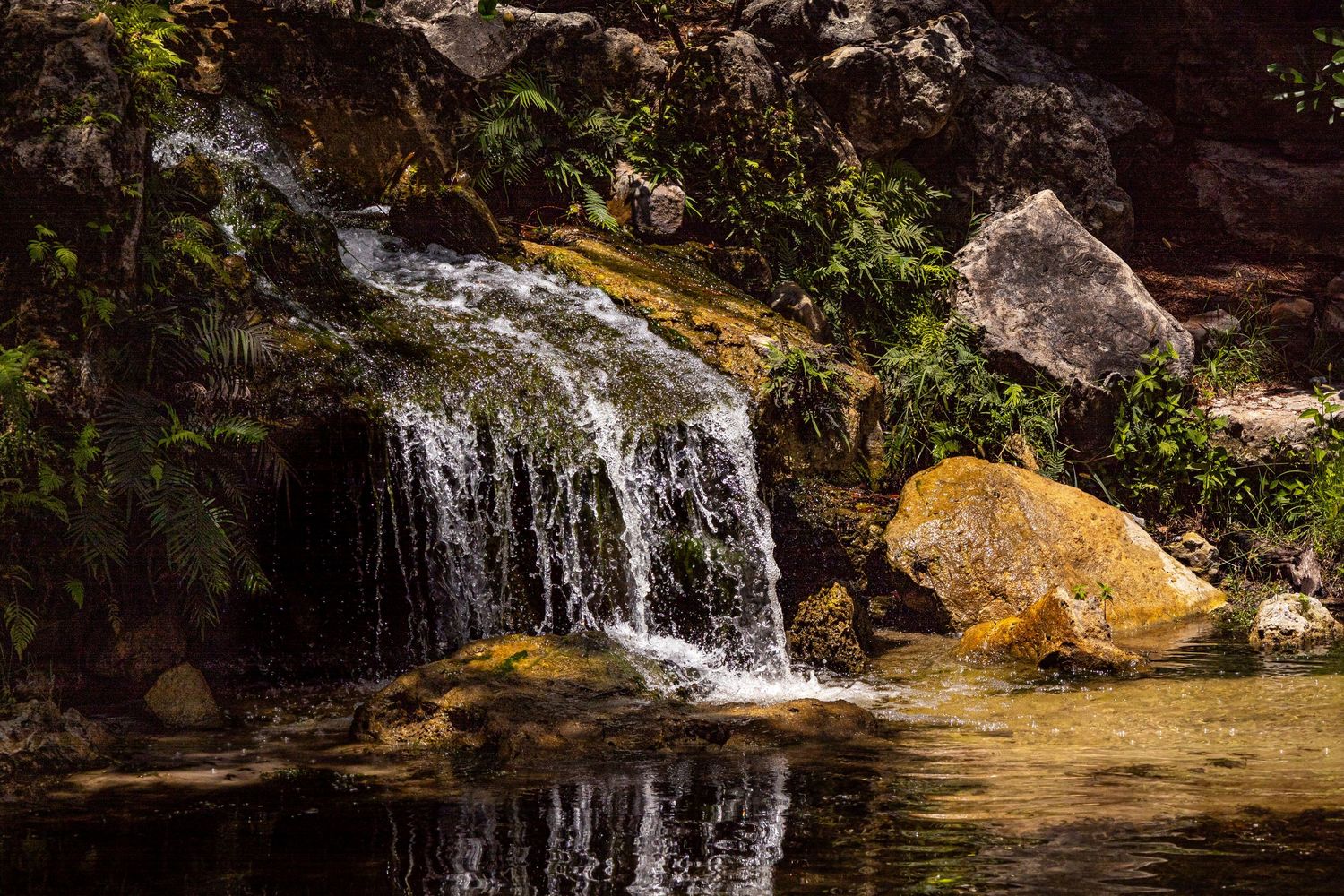Small scenic waterfall cascading over mossy rocks into a calm reflective pool in a forest.