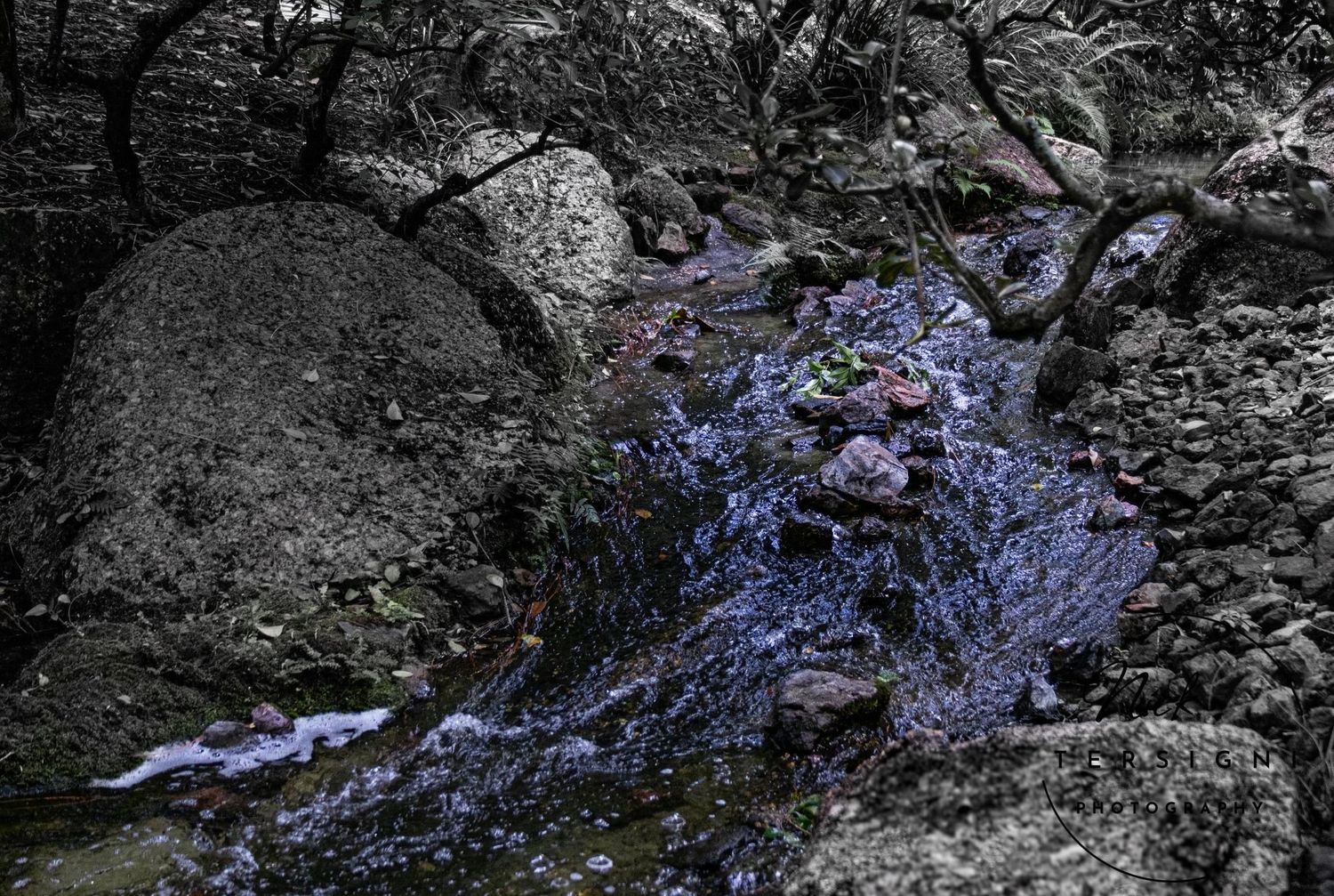Dramatic dark toned forest stream with blue-tinted water flowing over rocks in monochrome setting.