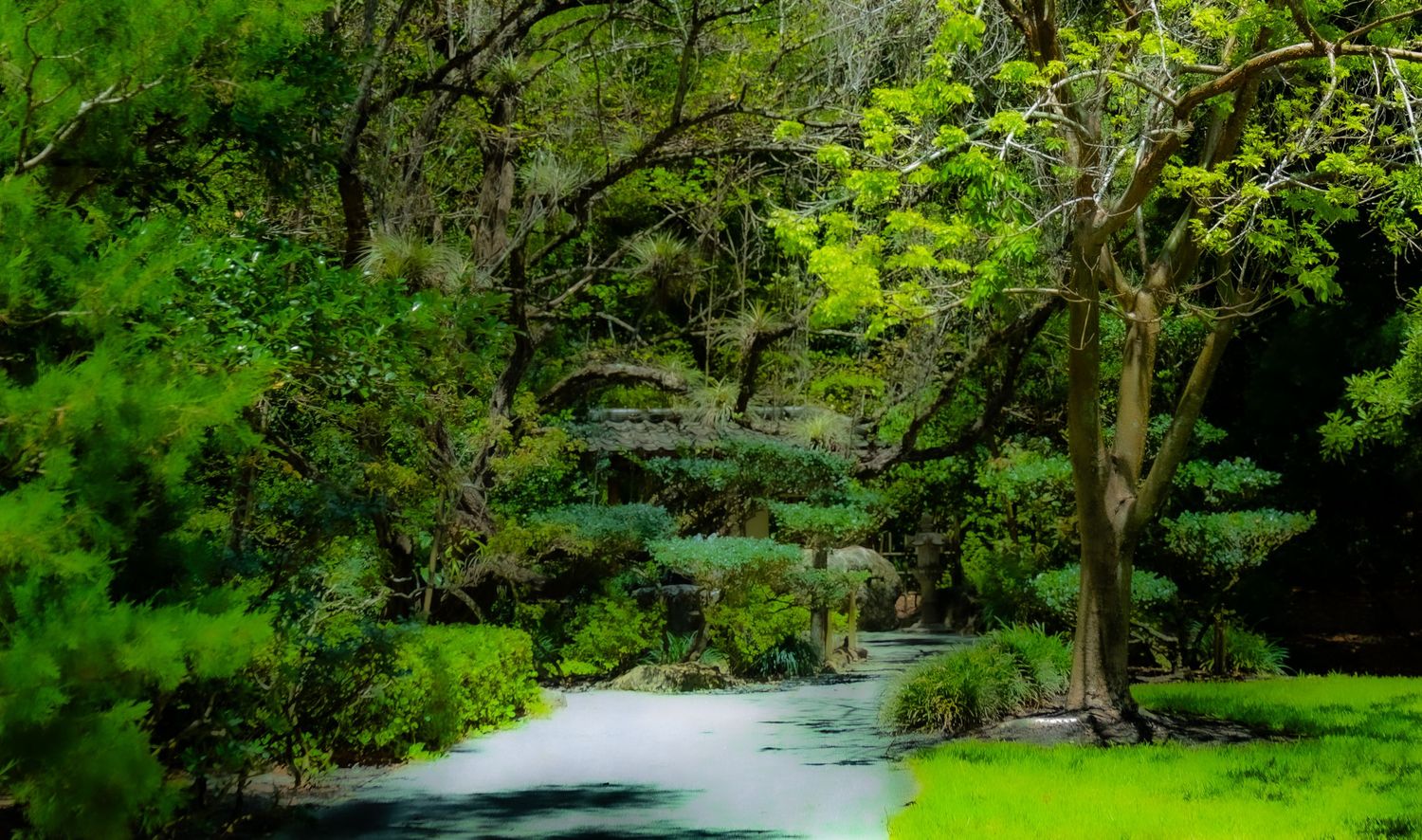 Lush green forest path with moss-covered trees and a serene waterway winding through vibrant tropical foliage.