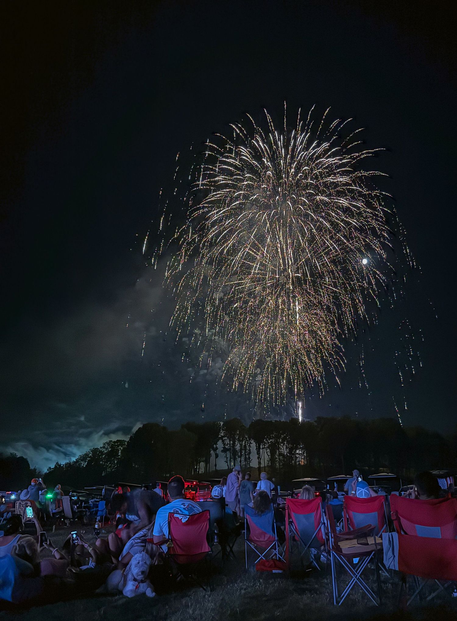 Crowd watching spectacular golden fireworks exploding in night sky at outdoor Fourth of July celebration.