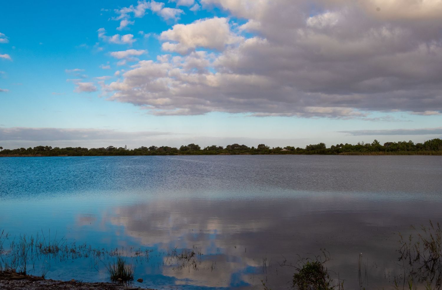 Calm lake reflecting white clouds and blue sky with tree-lined shore in serene landscape.