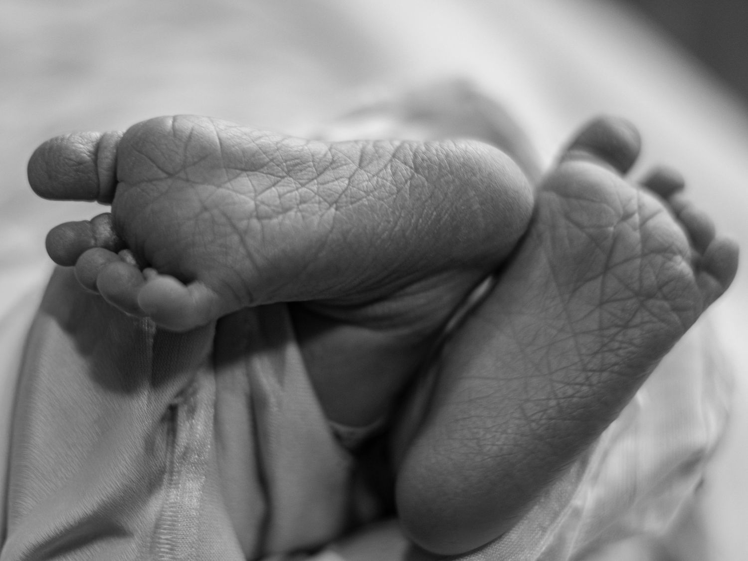 Close-up black and white photo of newborn baby tiny feet and toes.