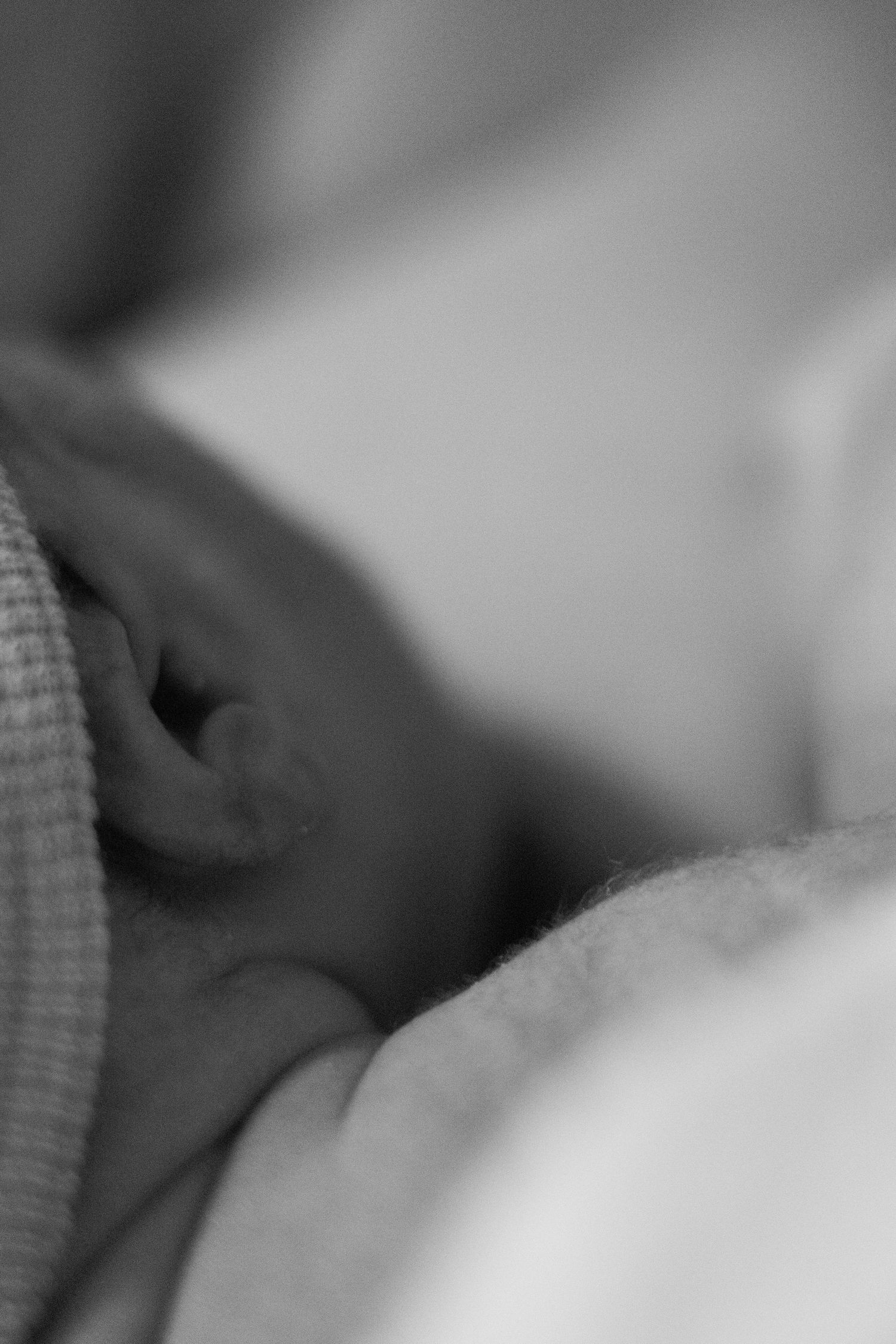 Soft black and white close-up of a newborn baby's delicate ear and tiny fingers.