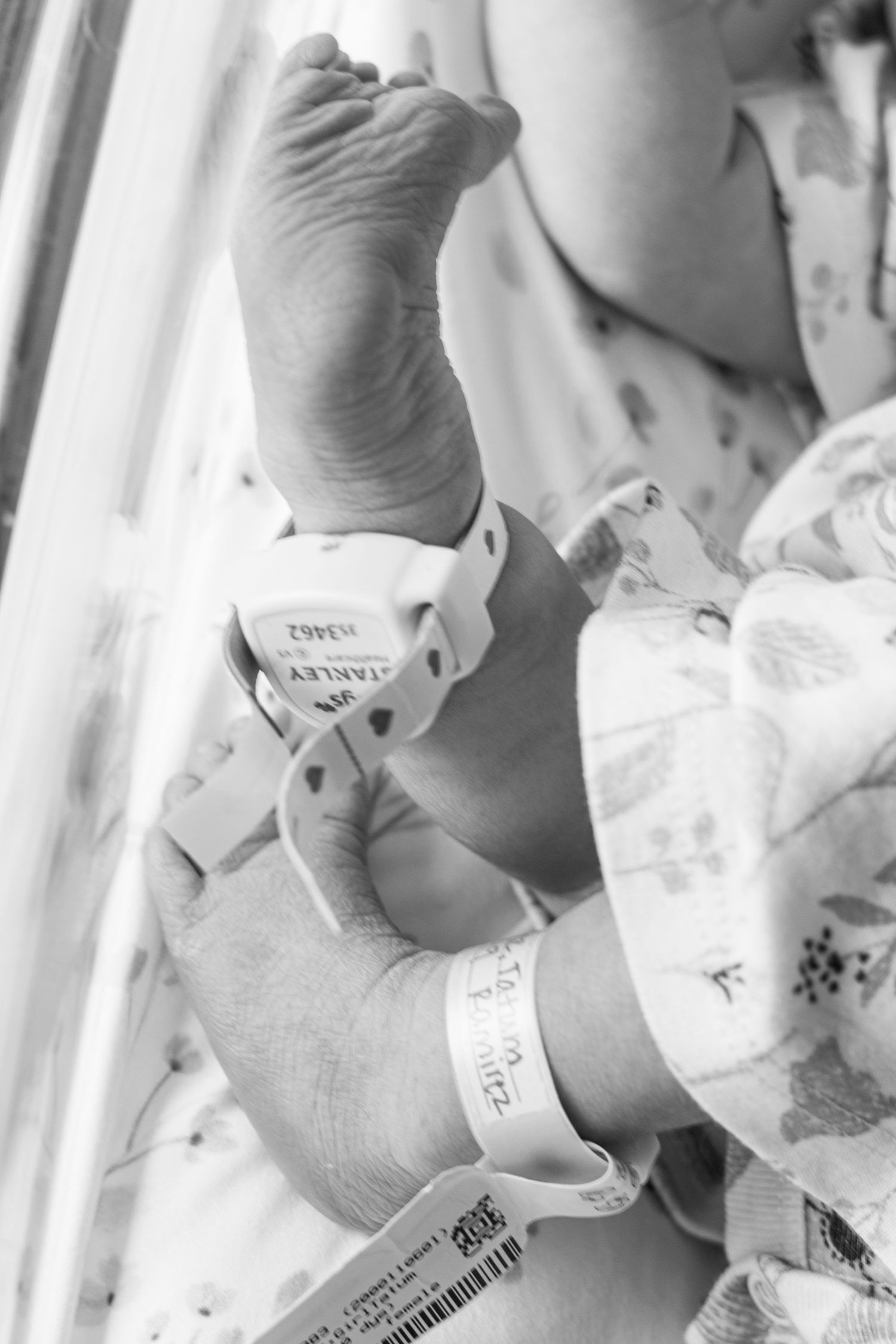 Black and white close-up of newborn baby feet and hands with hospital identification bracelets.