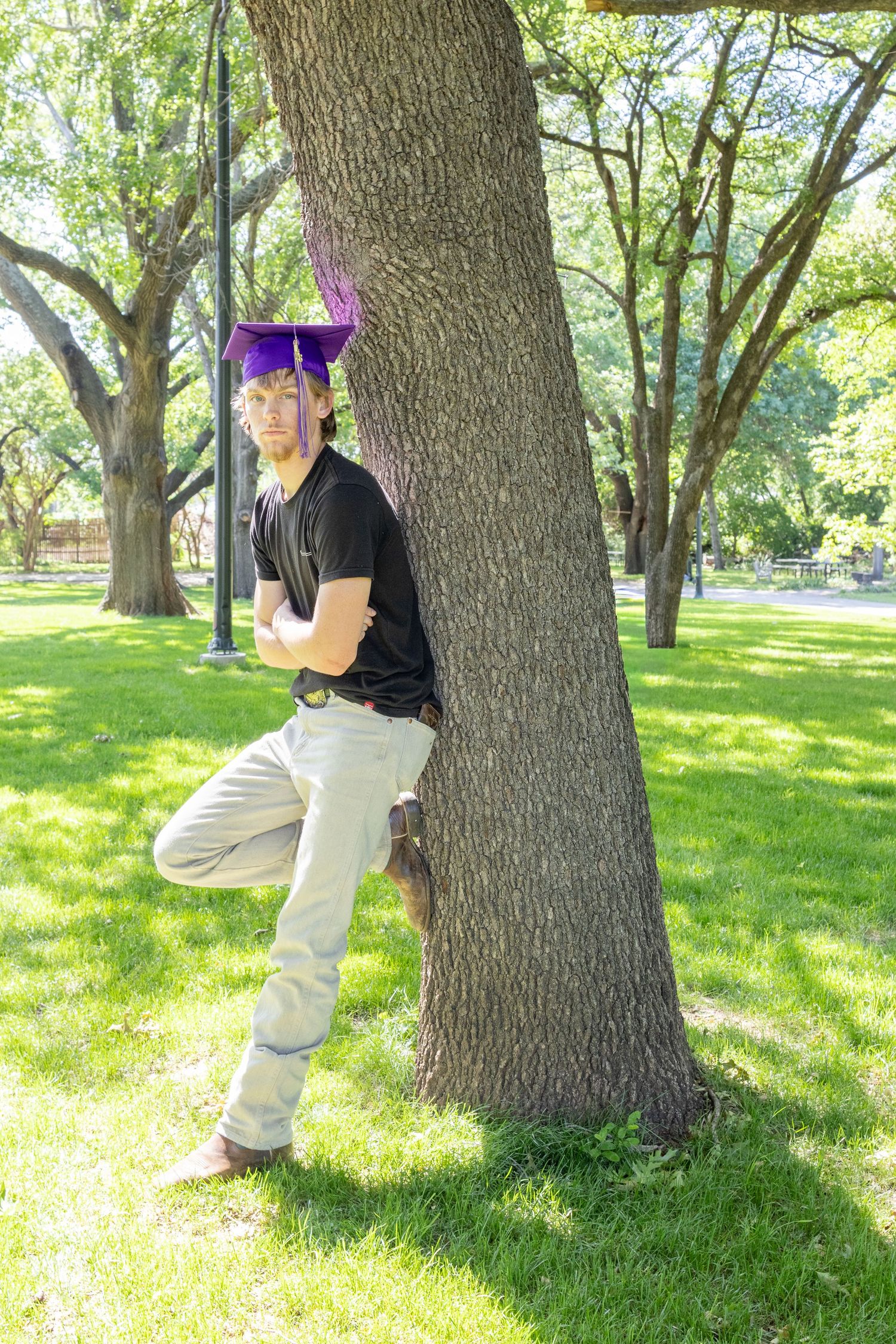 Graduate in purple mortarboard cap leans against large tree trunk in sunny green park.