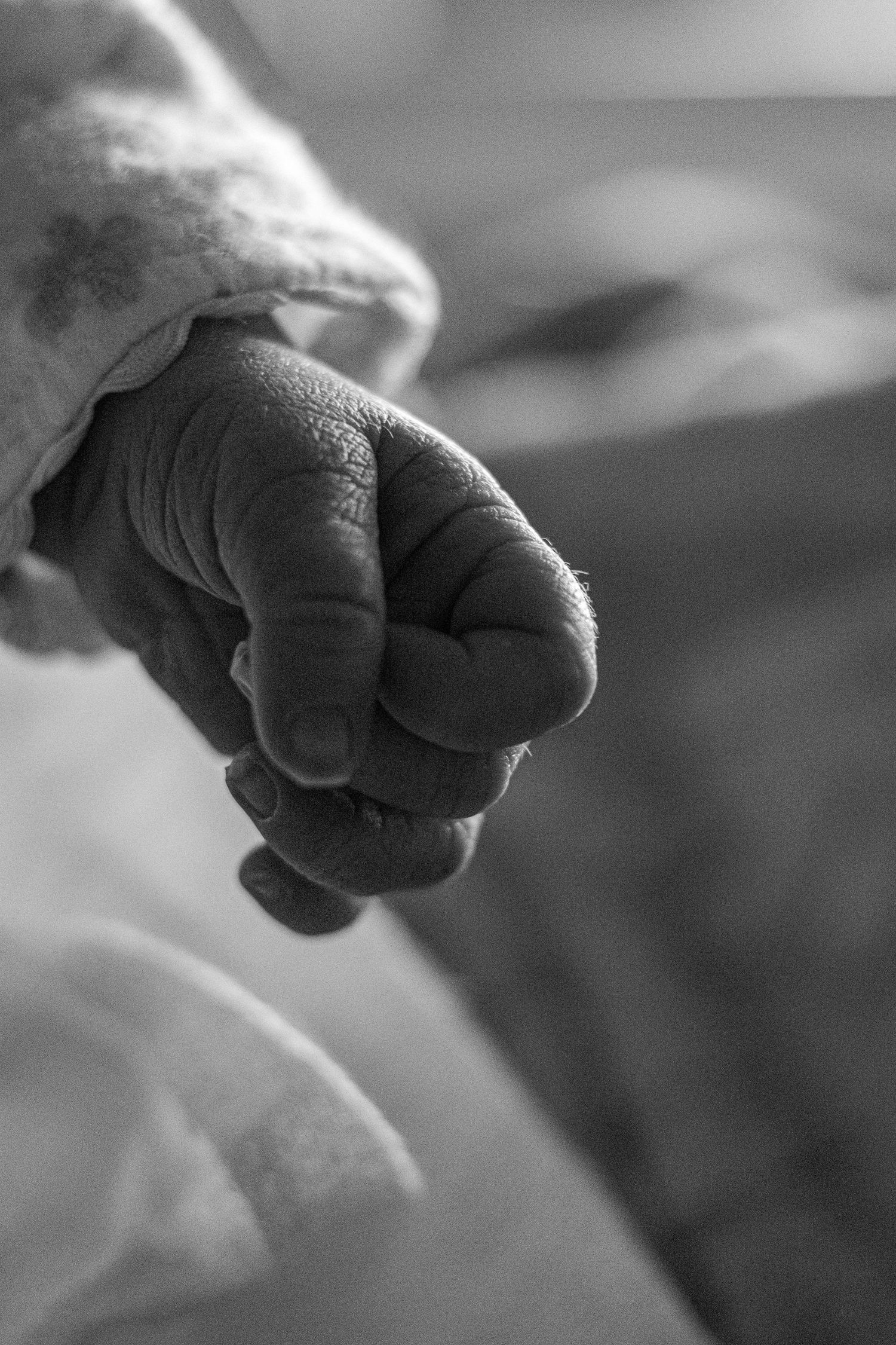 Close-up black and white photo of a newborn baby's tiny clenched fist in soft hospital blanket.