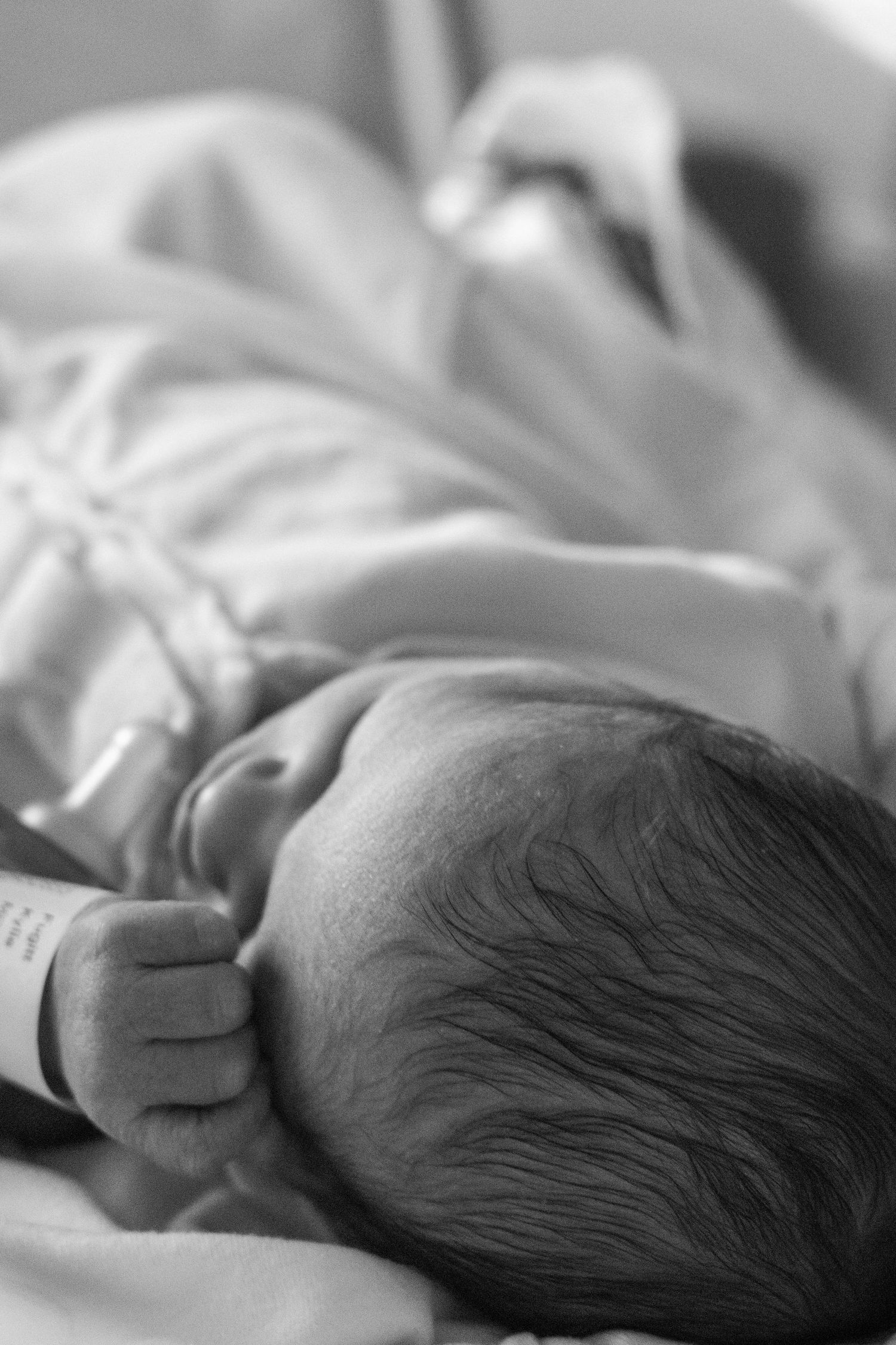 Black and white close-up of a newborn baby's dark hair and hospital identification bracelet.