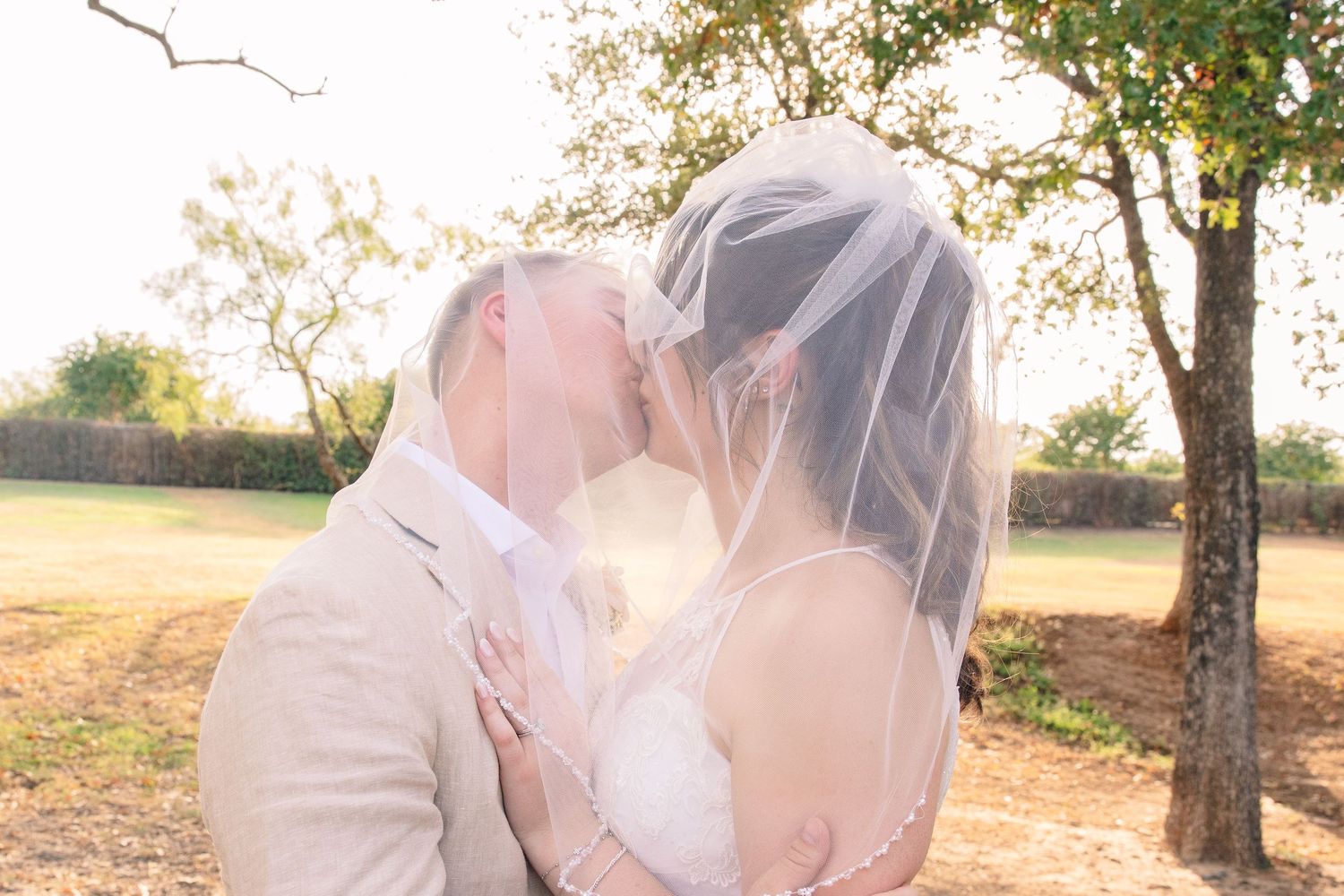 Bride and groom share a romantic kiss under a sheer veil beside a tree in a sunlit outdoor field.