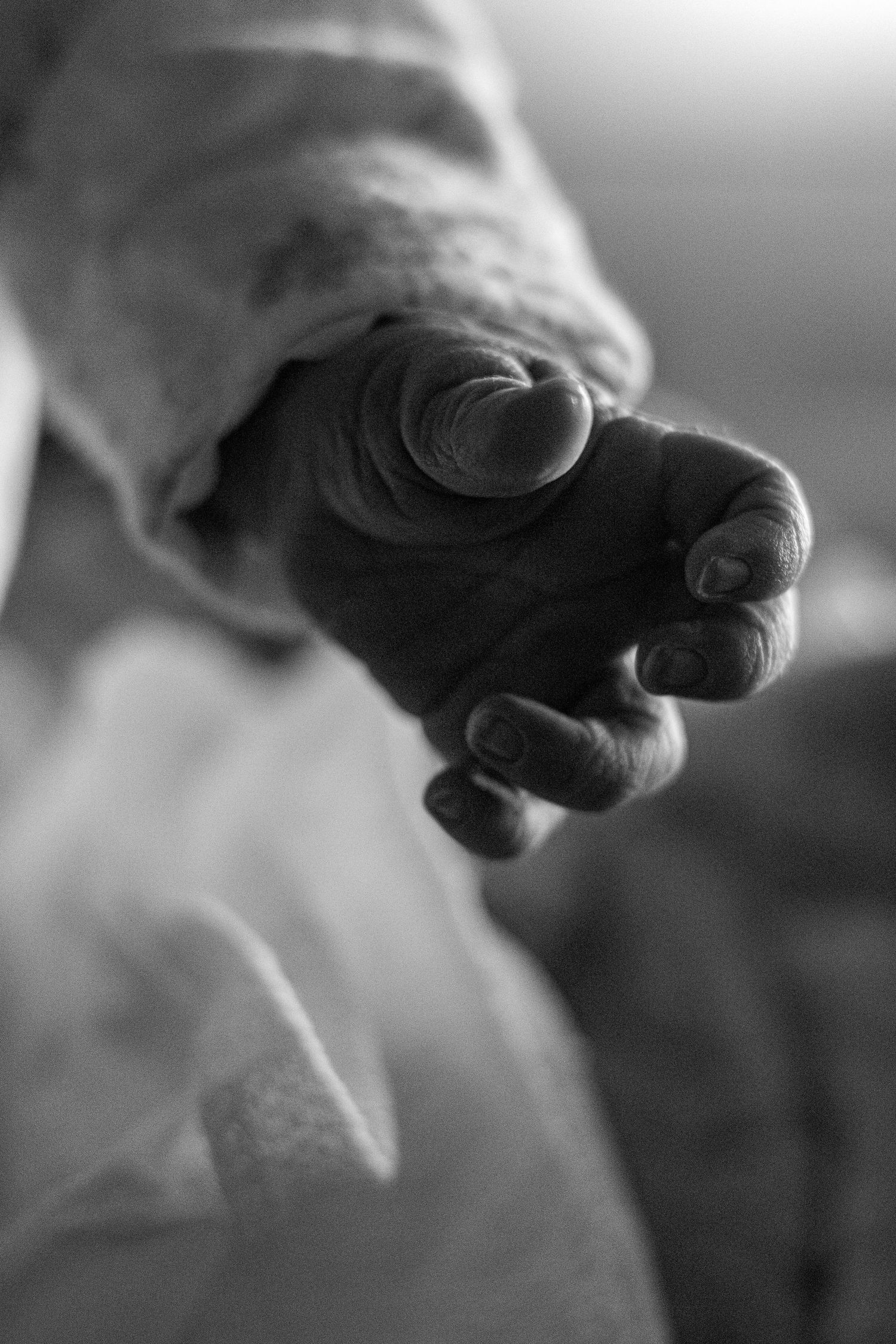 Detailed black and white macro shot of a newborn baby's tiny wrinkled hand forming a fist.