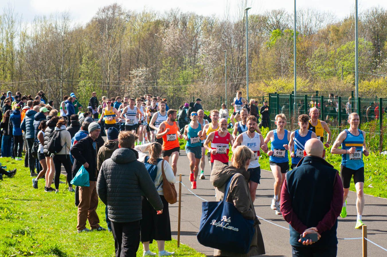 Large group of runners competing in outdoor road race watched by spectators.