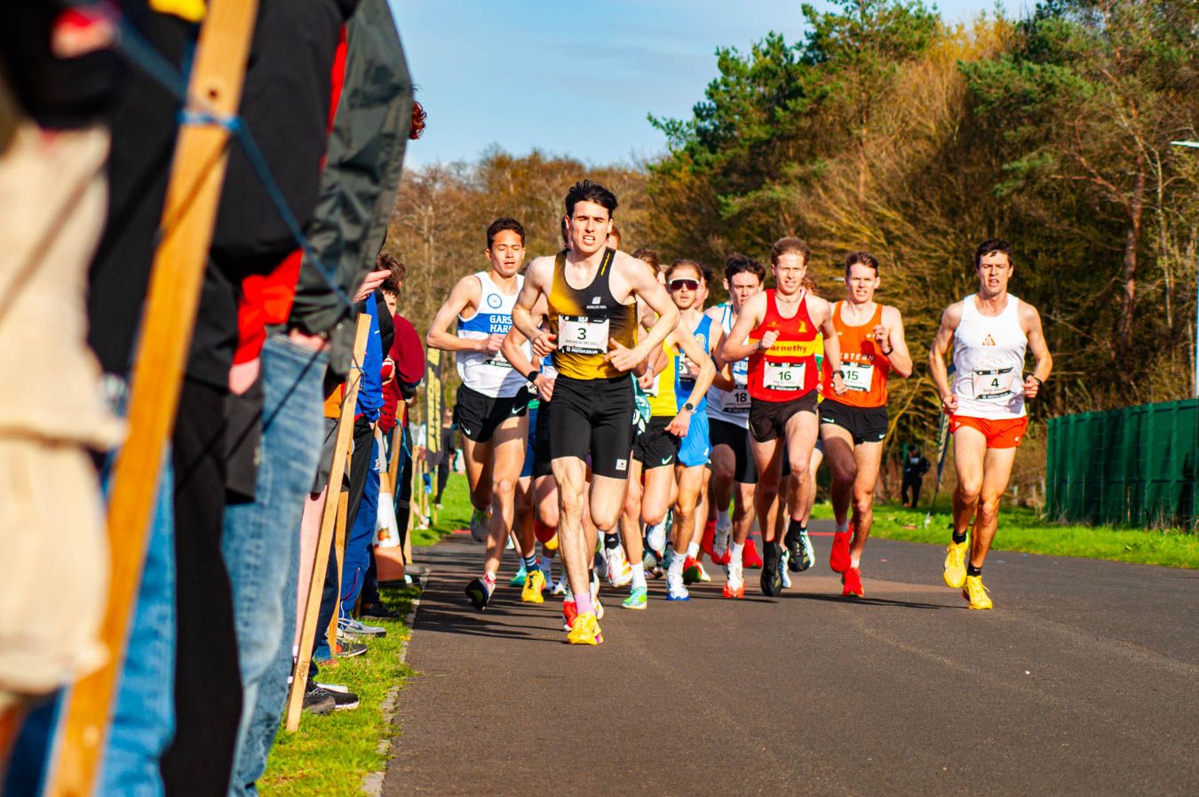 Group of competitive runners racing along park road lined with spectators.