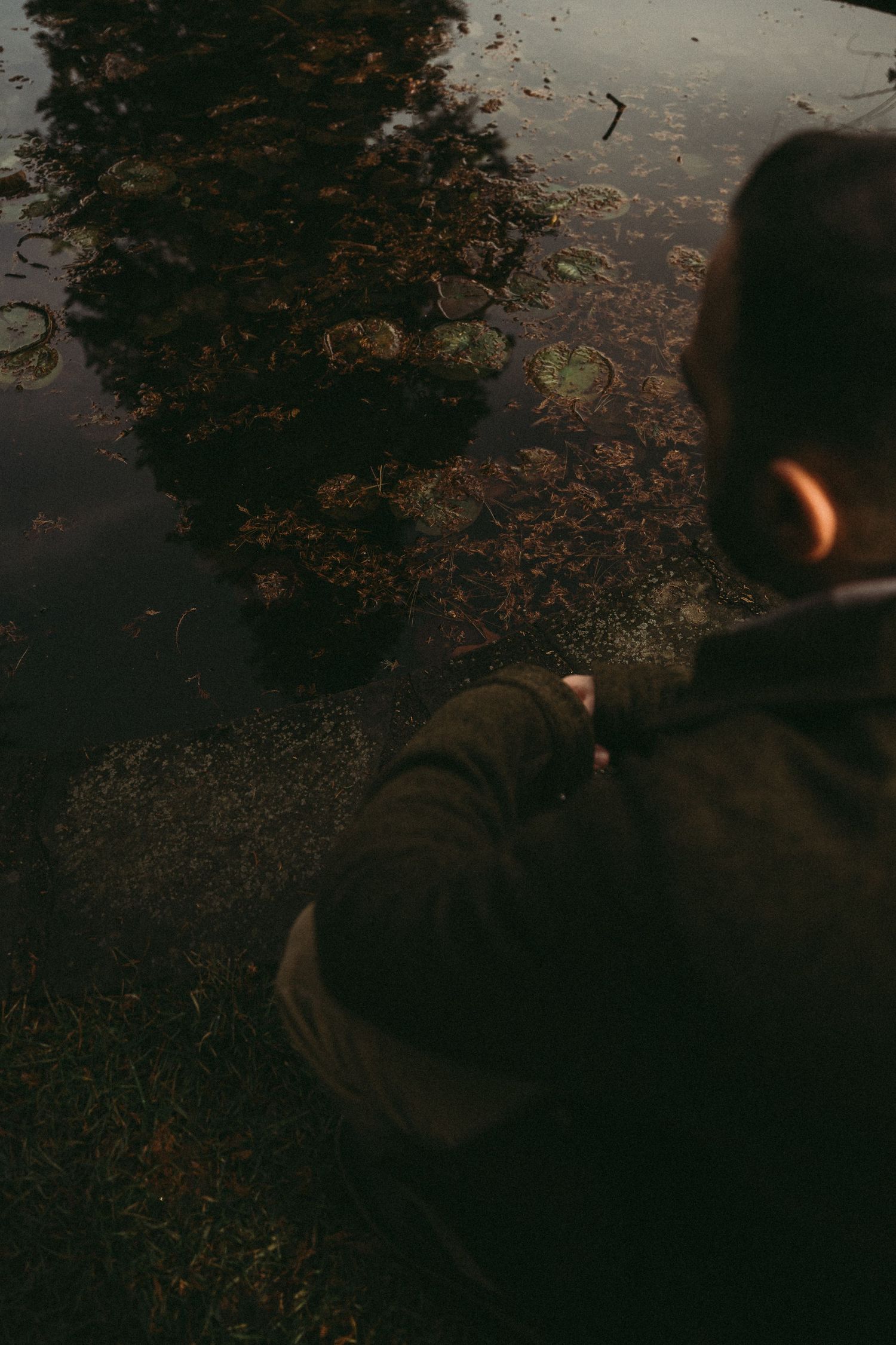 Person pointing at a dark reflective pond with lily pads and autumn leaves, viewed from above in moody lighting.