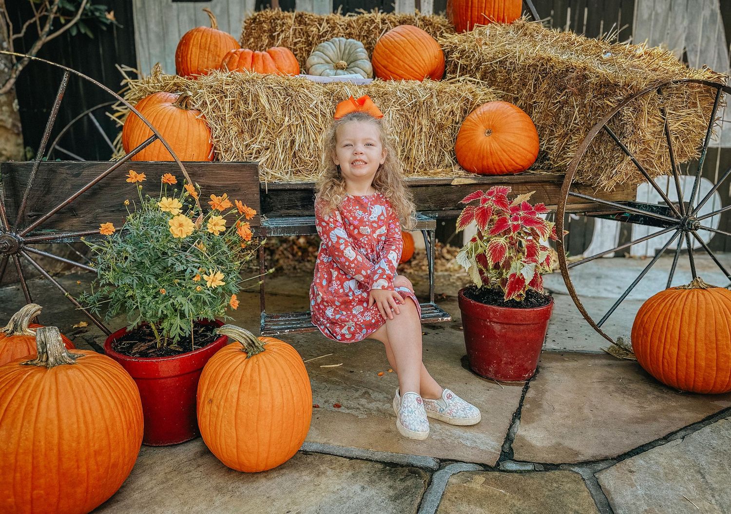 Young girl sitting among orange pumpkins and fall flowers at a festive autumn harvest pumpkin patch display.