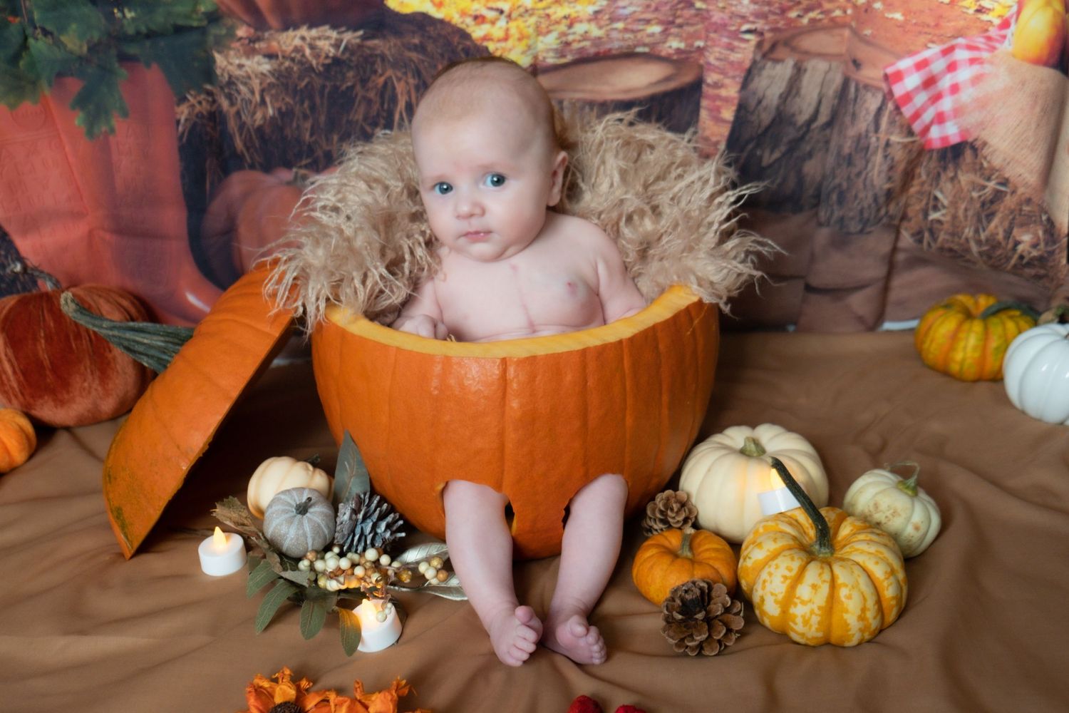 Little boy in a pumpkin for a children's Halloween photoshoot.