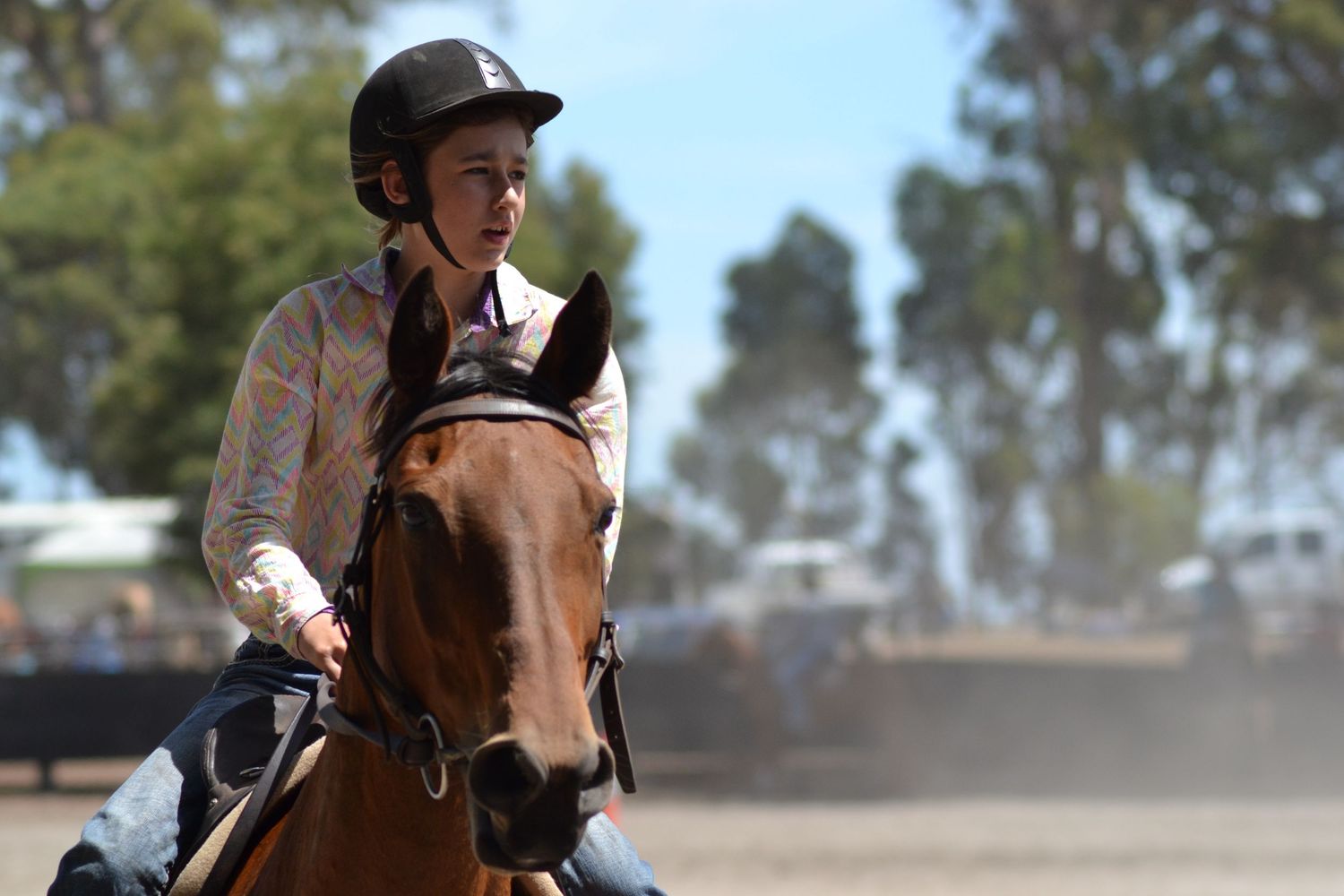 Young lady on a horse practising riding.