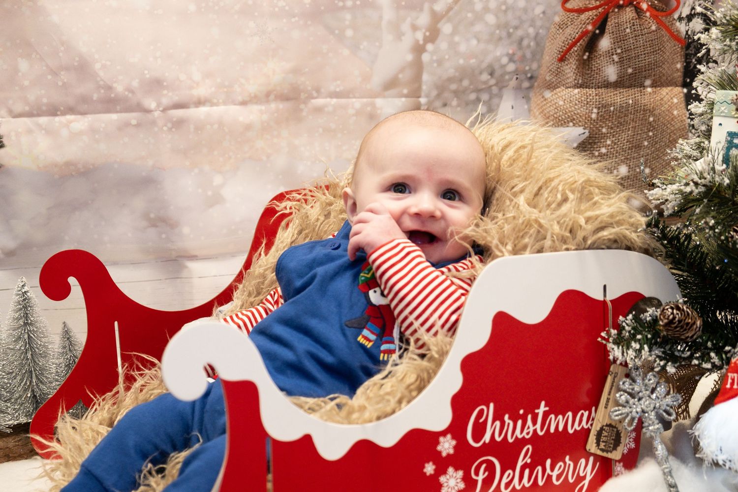 Little boy smiling during a Christmas-themed family photoshoot.