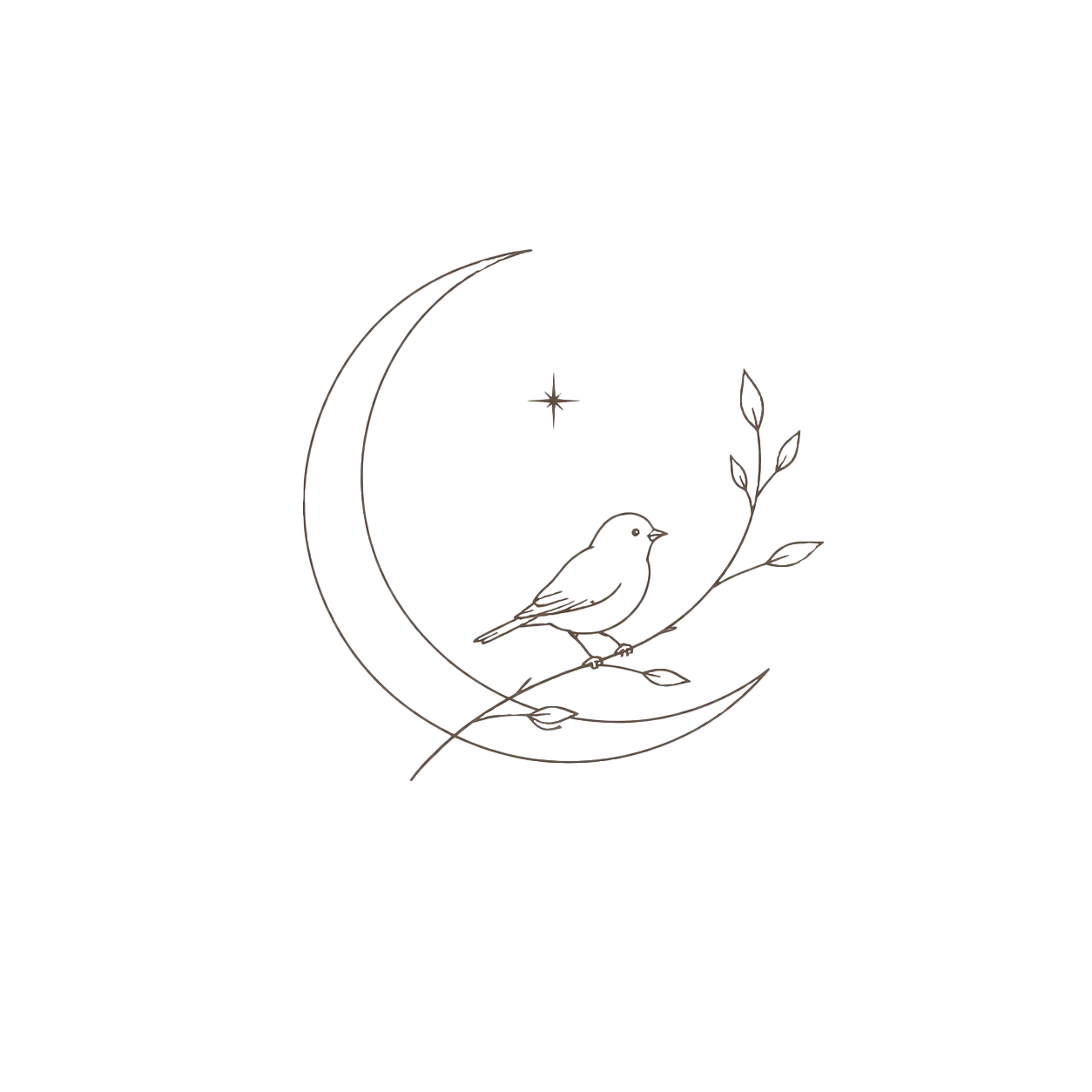 Minimalist line art drawing of a bird perched on a crescent moon with botanical branches and a star.