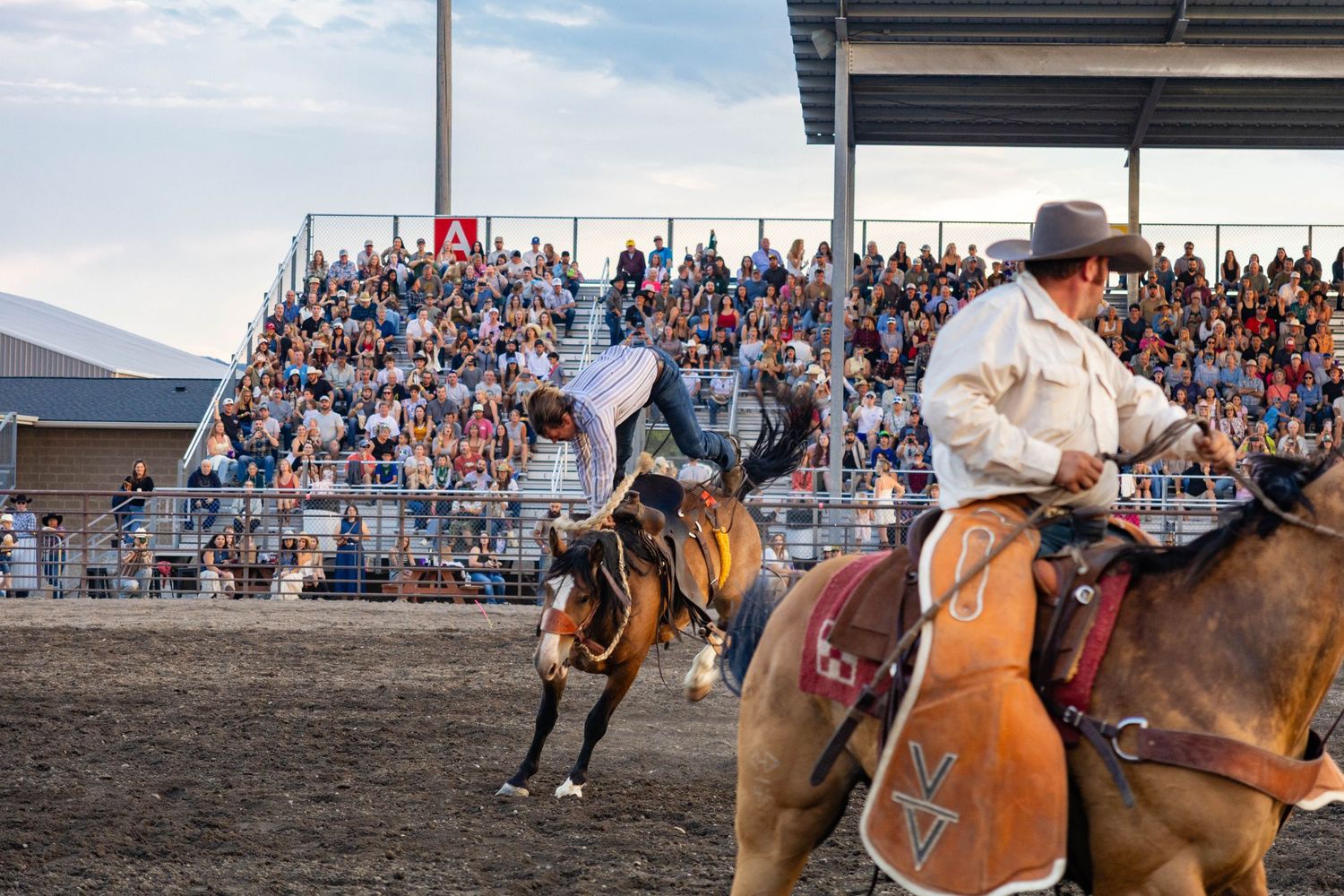 Bronc rider gets bucked off horse as pickup rider assists before large crowd at evening rodeo.
