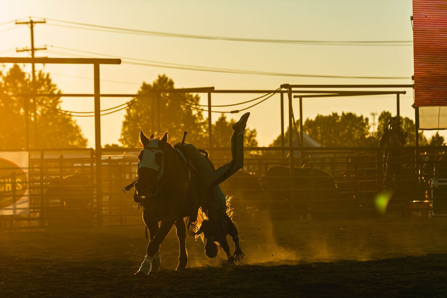 Silhouette of a bucking horse and falling rider at a golden sunset rodeo arena.
