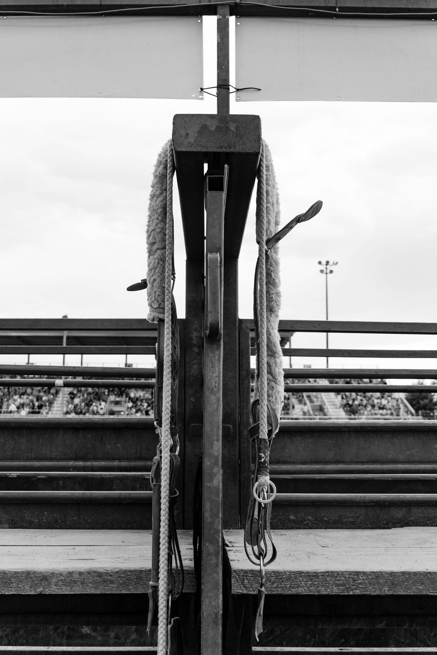 Black and white photo of a rope hanging on a metal post at an empty rodeo arena.