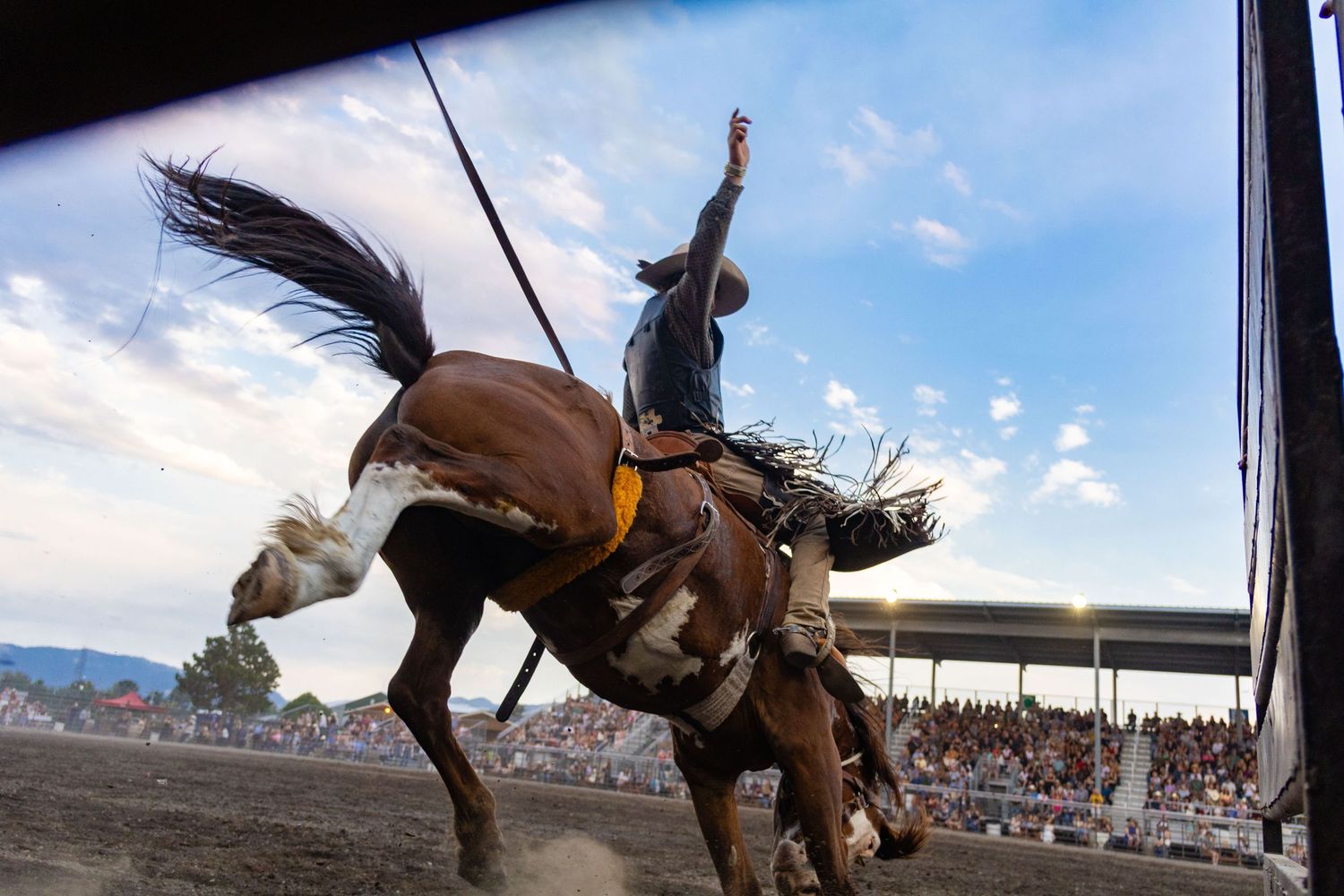 Rodeo cowboy riding a bucking bronco horse at a crowded outdoor rodeo arena at dusk.