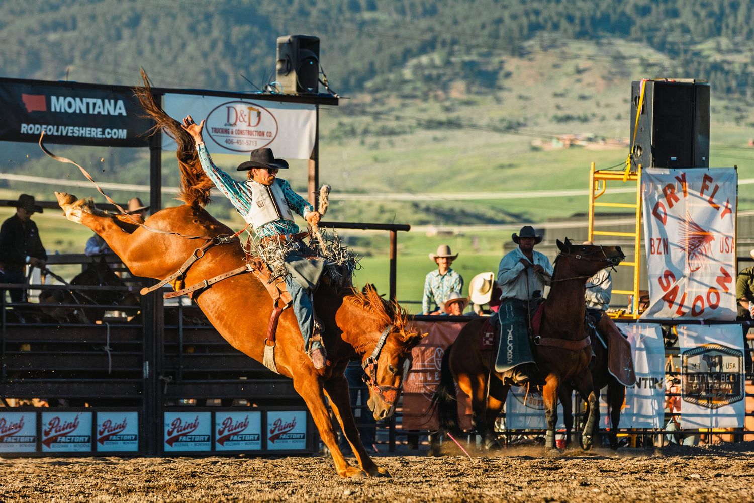 A cowboy rides a bucking bronco at a Montana rodeo event with spectators and mountains in the background.