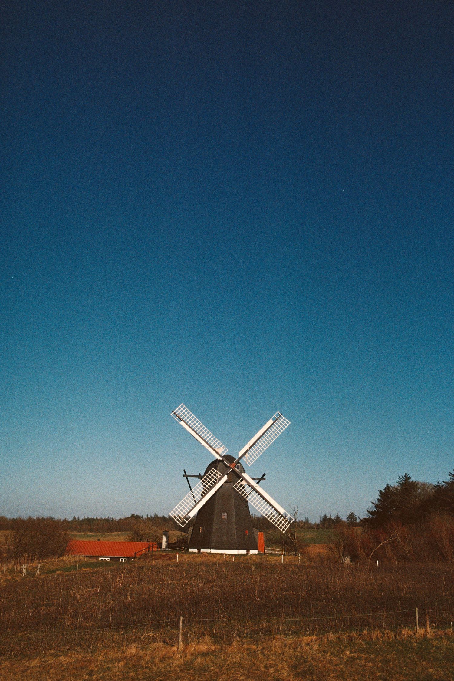 Traditional wooden windmill standing in rural field under a deep blue evening sky.