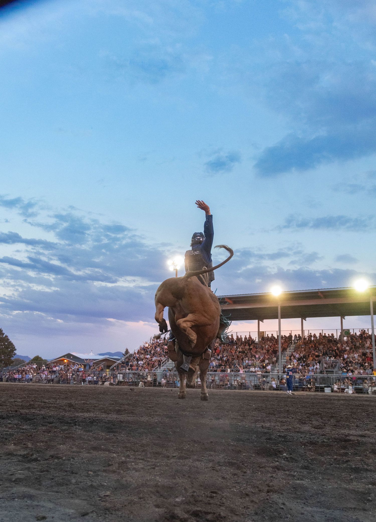 Bull rider competing at a rodeo event at dusk with crowd in bleachers under stadium lights.