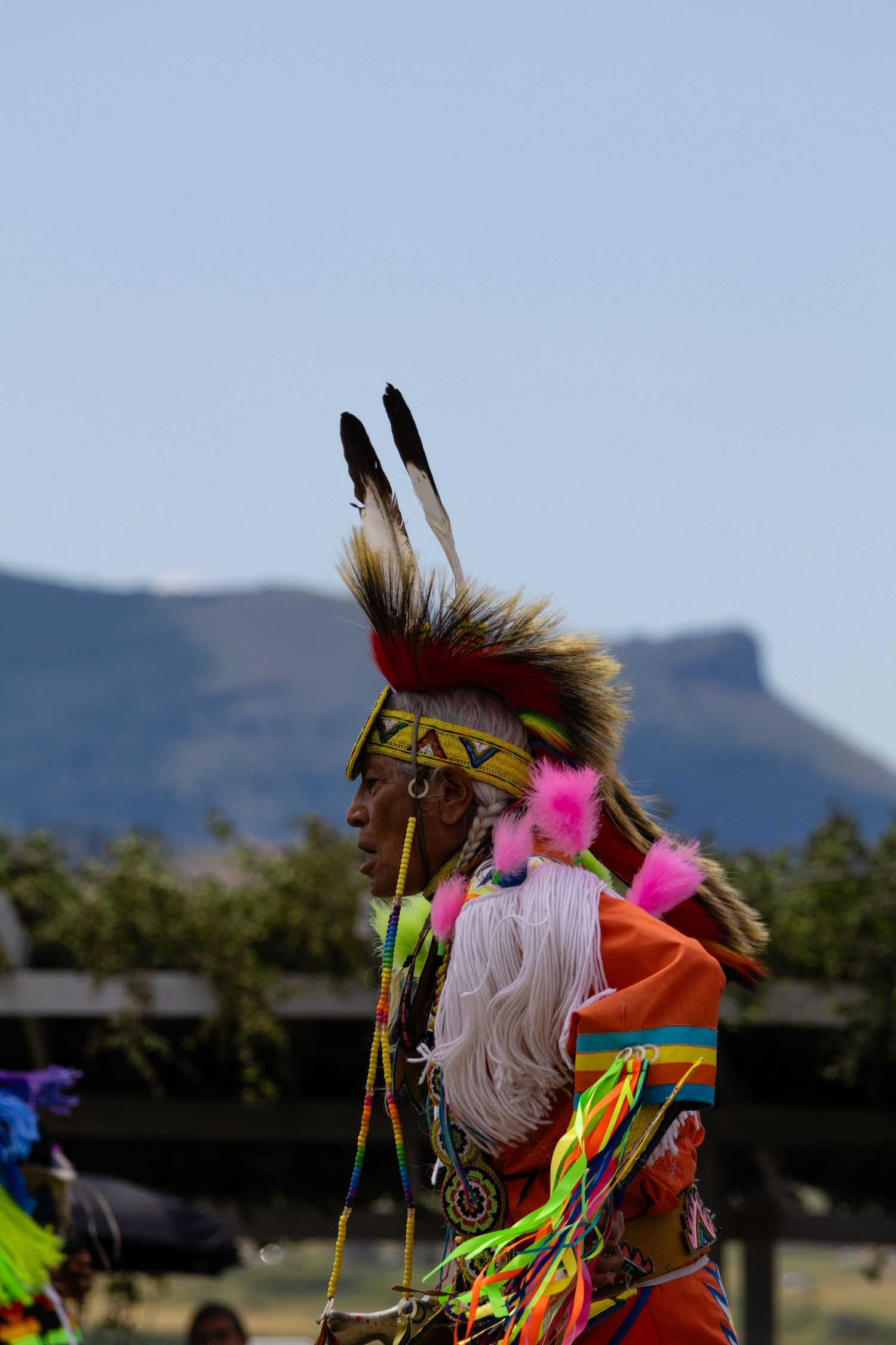 Native American dancer in colorful traditional regalia with feathered headdress at outdoor powwow.
