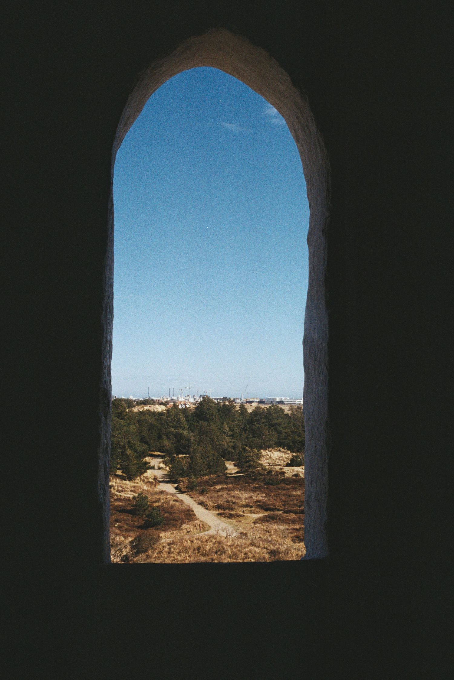 Gothic stone arched window framing a scenic view of trees and sandy landscape.