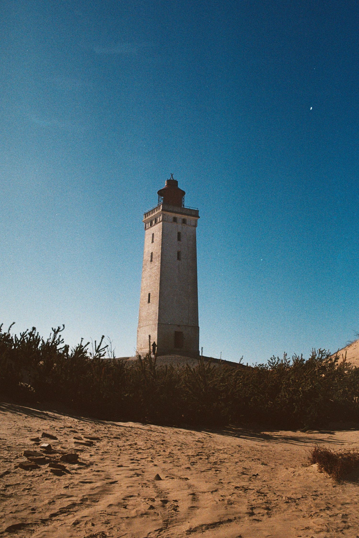 A tall white lighthouse stands on sandy dunes under a clear blue sky, surrounded by coastal vegetation in Northern Denmark.