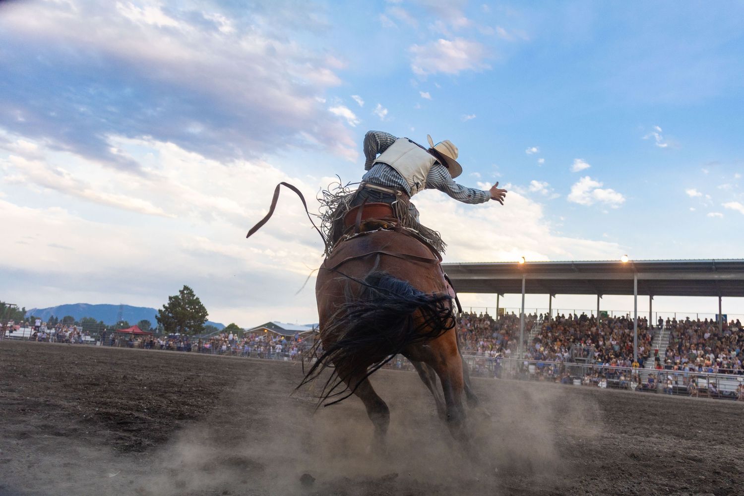 Cowboy rides bucking bronco kicking up dust before large crowd at outdoor rodeo arena at sunset.