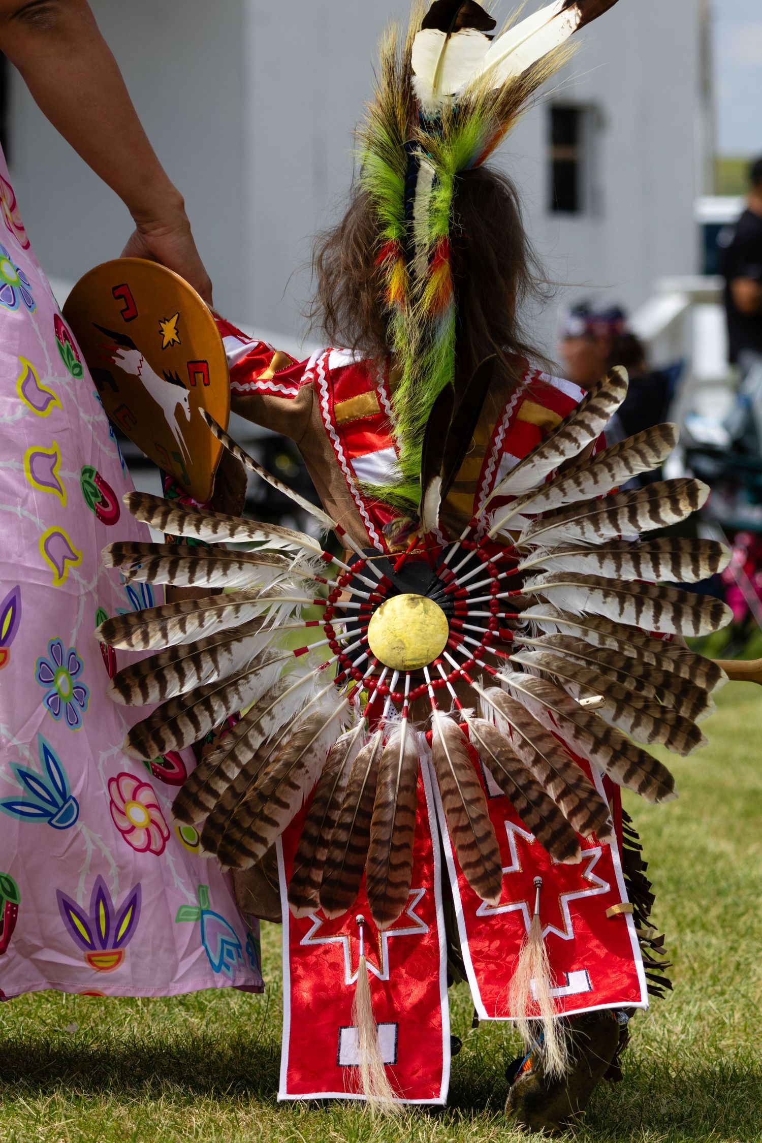 Native American child dancer in traditional regalia with feathered bustle at powwow.