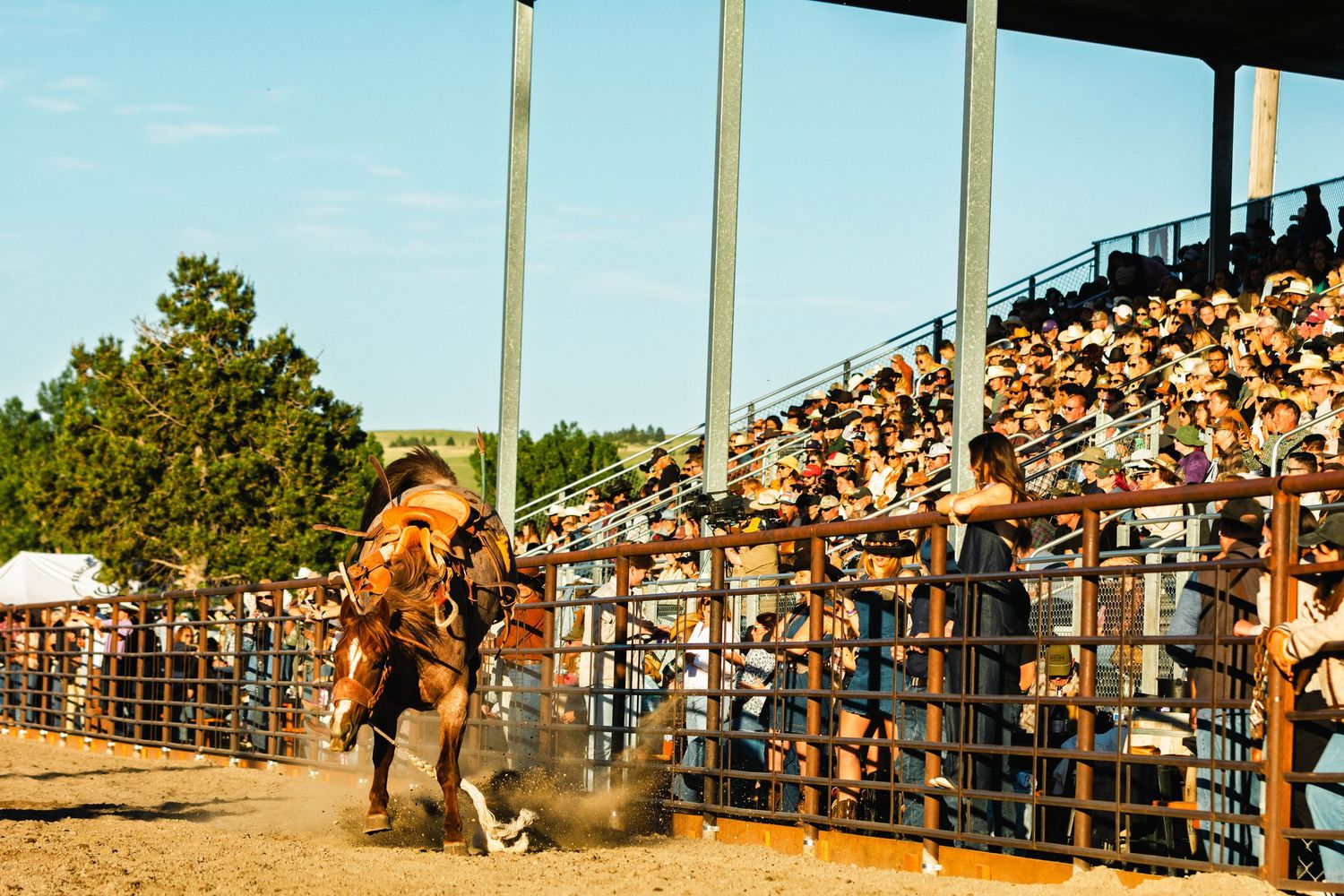 Bucking bronco tosses rider at a crowded outdoor rodeo arena during a thrilling competition.